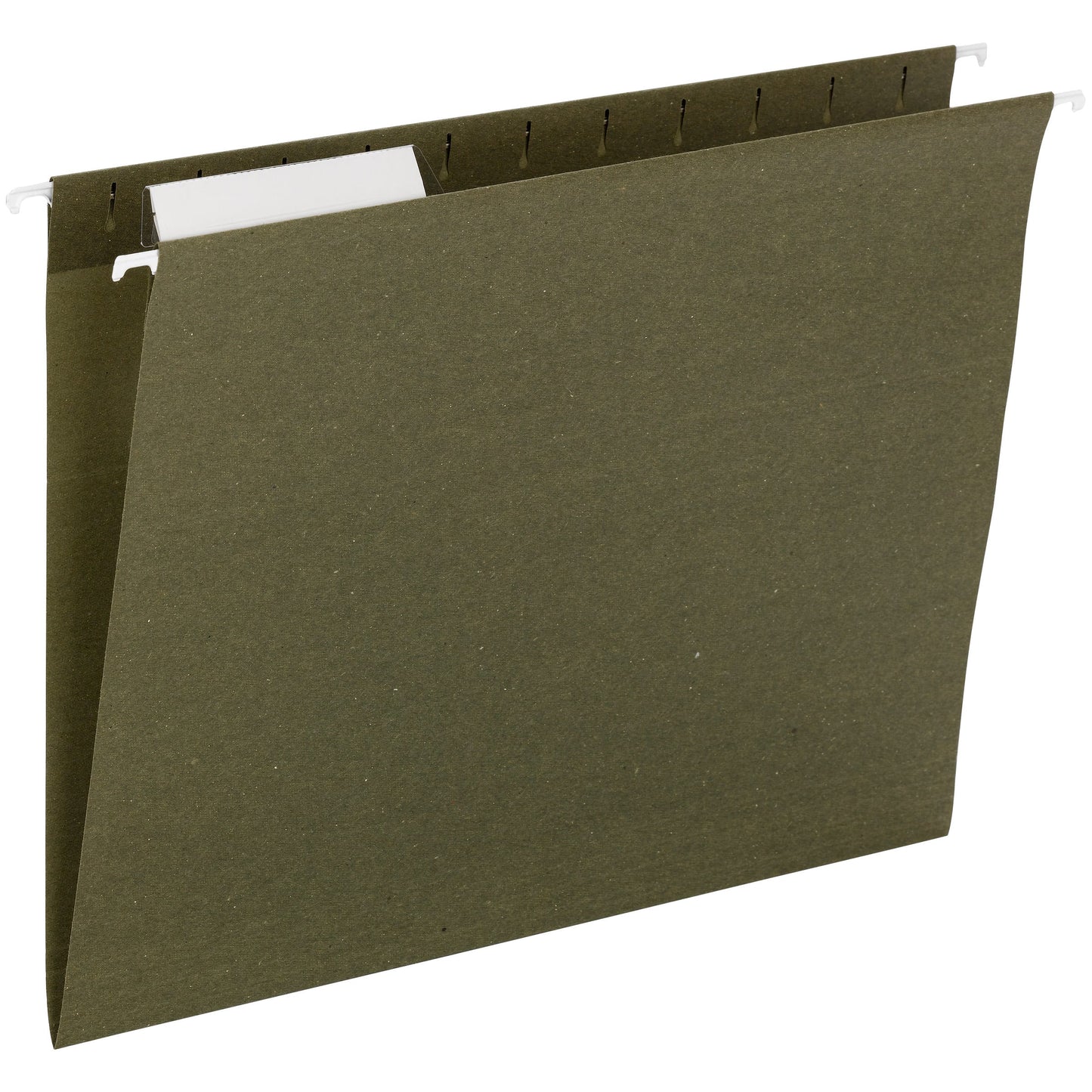 Standard Hanging File Folders, 1/3-Cut Adjustable Tab, Standard Green Color, Letter Size, Set of 25, 086486640398