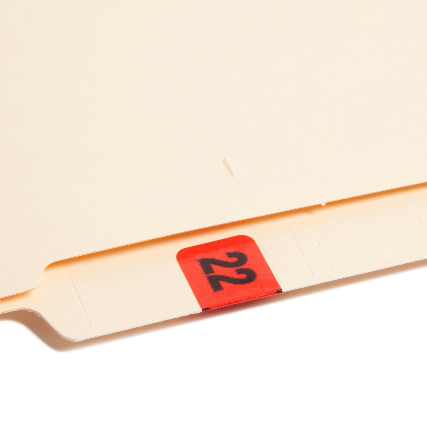 ETYJ Color-Coded Year Labels, Red Color, 1-1/2" X 3/4" Size, Set of 50, 086486683227