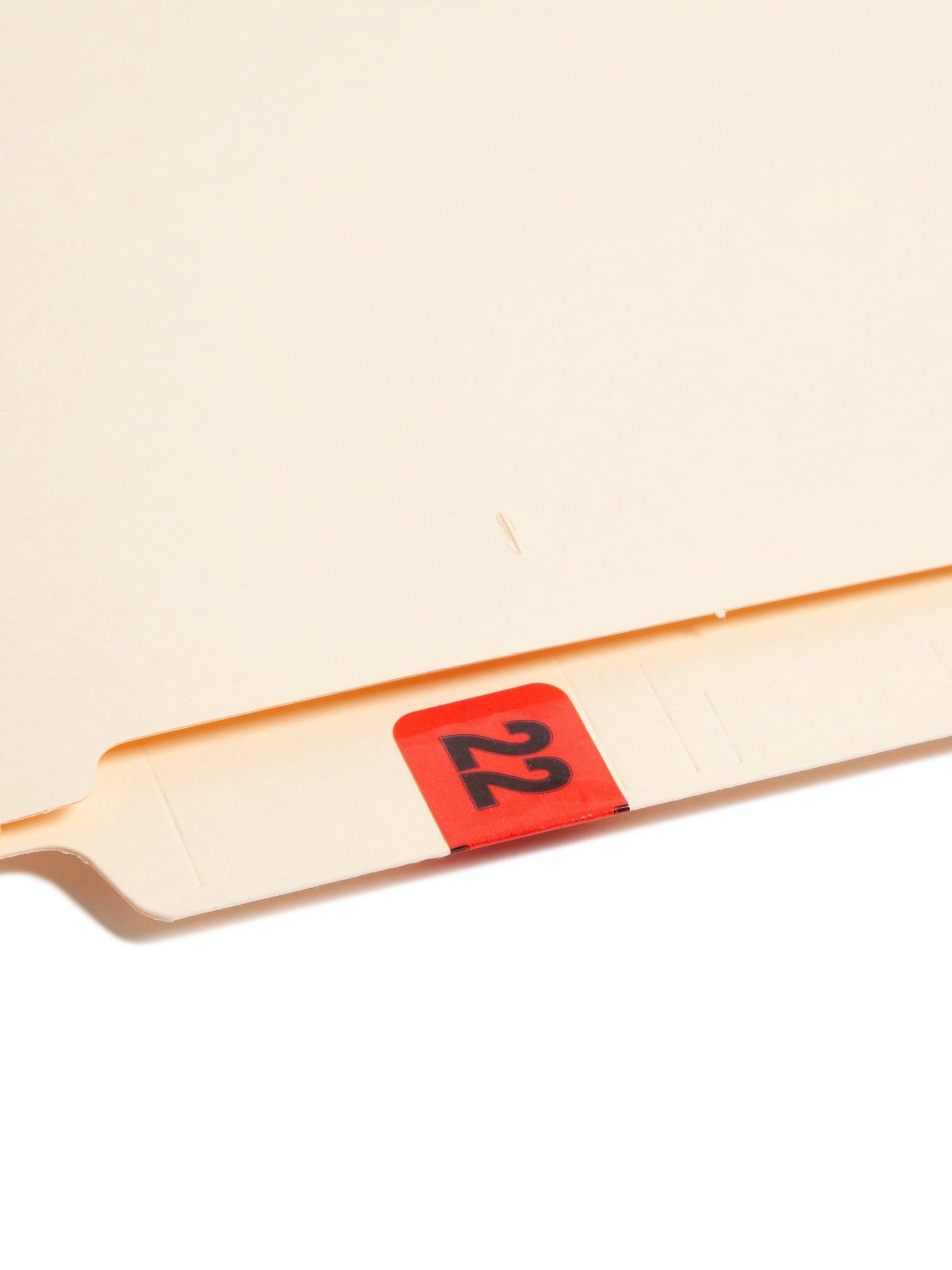 ETYJ Color-Coded Year Labels, Red Color, 1-1/2" X 3/4" Size, Set of 50, 086486683227
