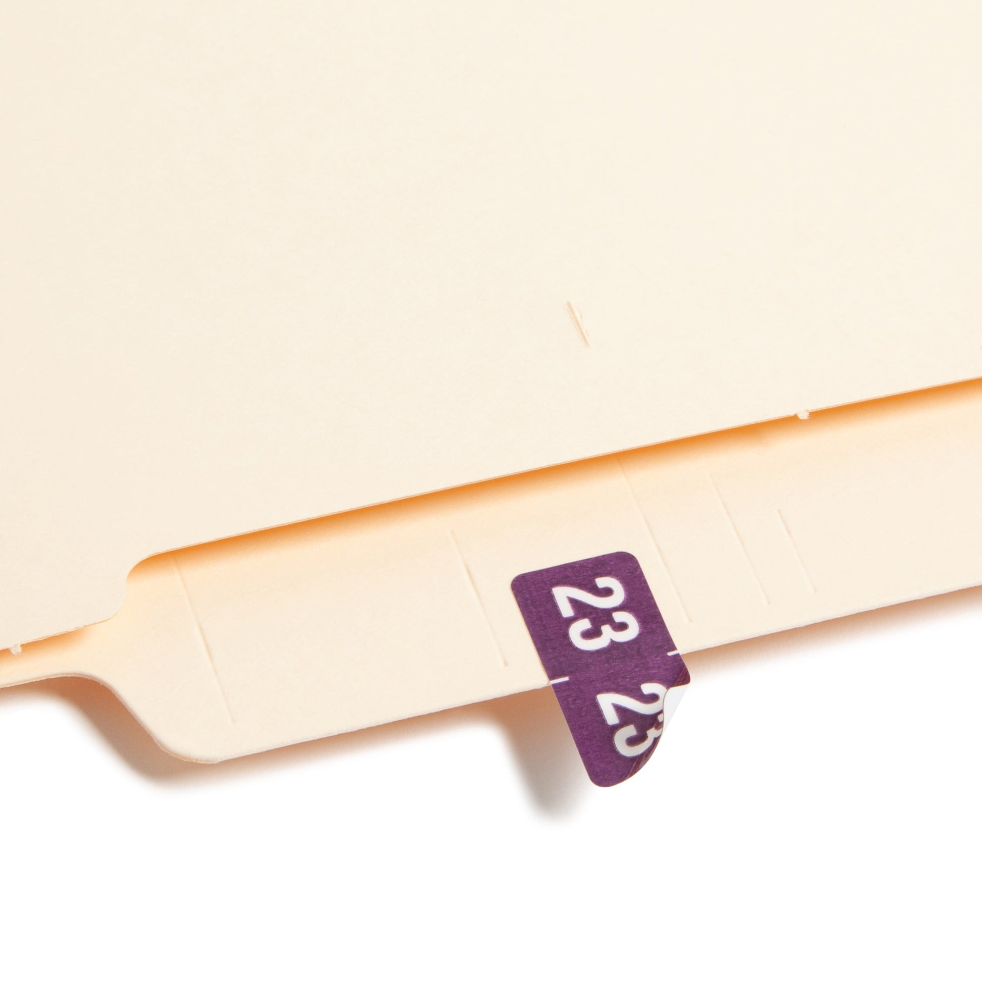 ETS Color-Coded Year Labels - Sheets, Purple Color, 1" X 1/2" Size, Set of 250, 086486679237