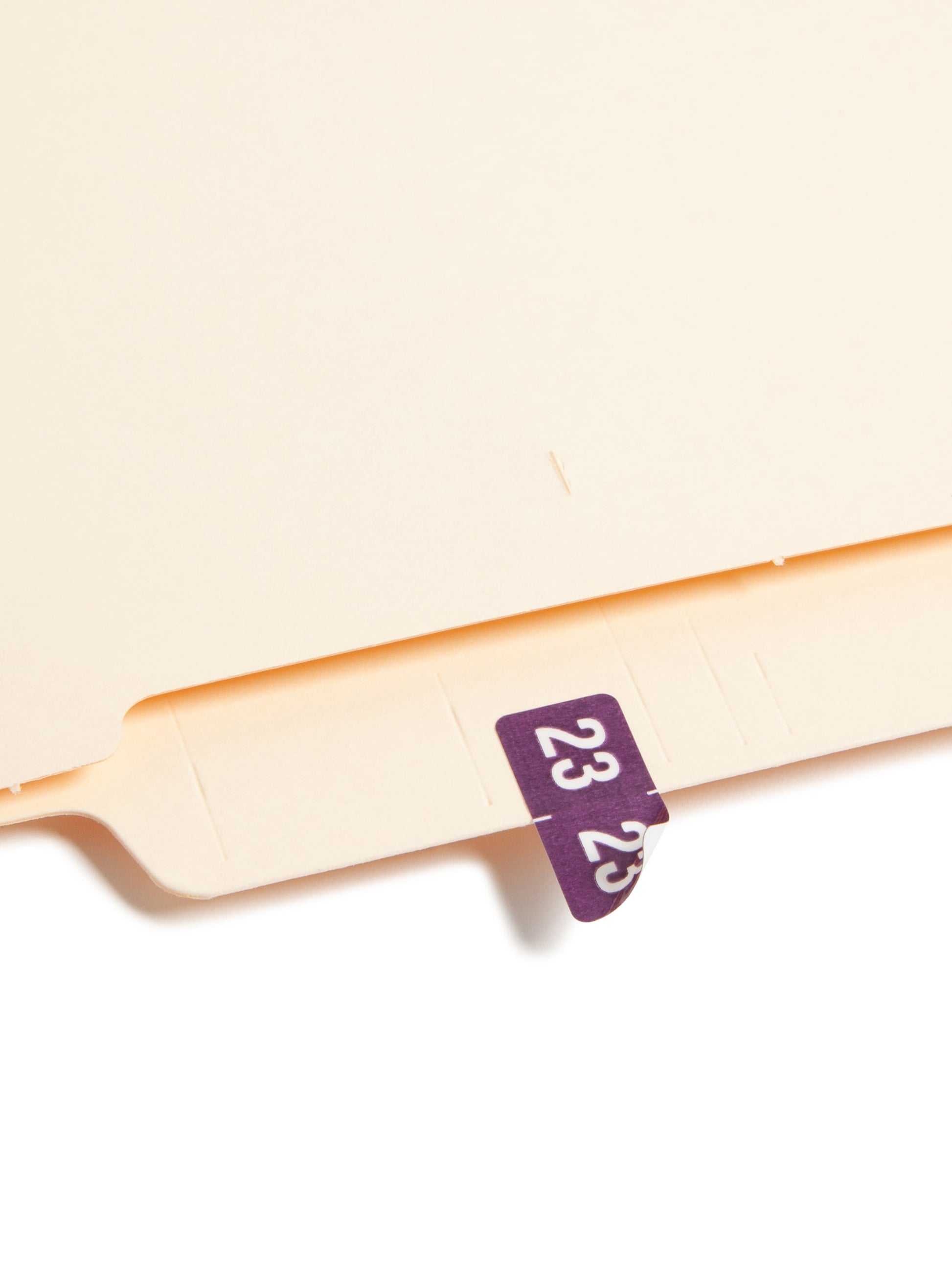 ETS Color-Coded Year Labels - Sheets, Purple Color, 1" X 1/2" Size, Set of 250, 086486679237