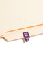 ETS Color-Coded Year Labels - Sheets, Purple Color, 1" X 1/2" Size, Set of 250, 086486679237