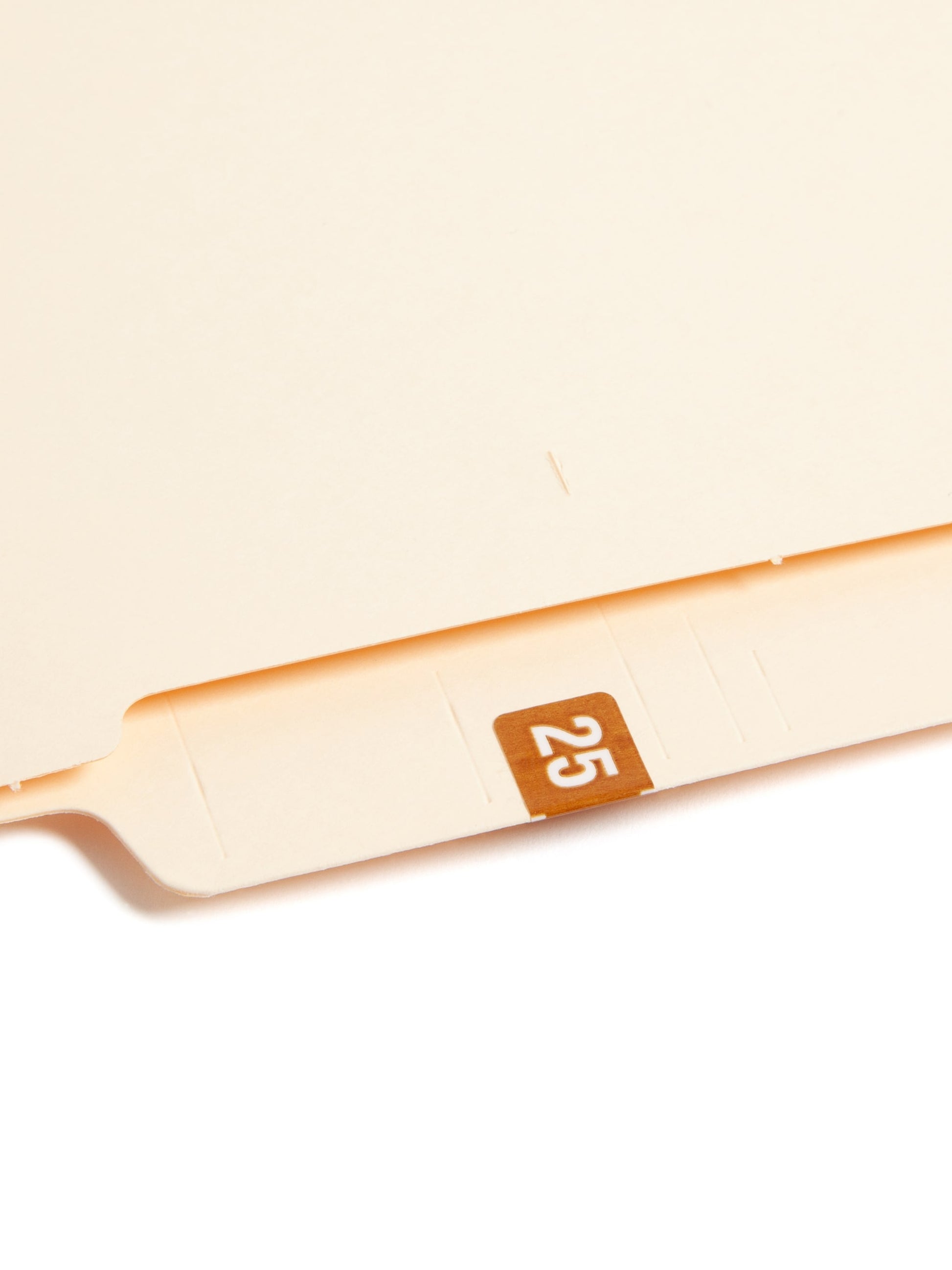 ETS Color-Coded Year Labels - Sheets, Brown Color, 1" X 1/2" Size, Set of 250, 086486679251