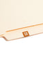 ETS Color-Coded Year Labels - Sheets, Brown Color, 1" X 1/2" Size, Set of 250, 086486679251