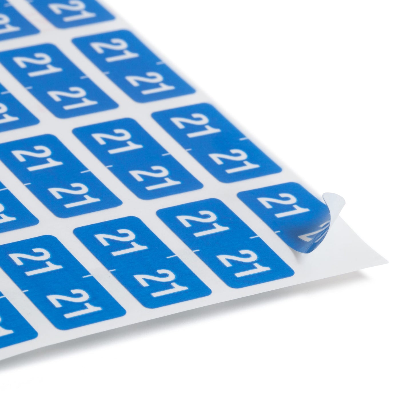 ETS Color-Coded Year Labels - Sheets, Light Blue Color, 1" X 1/2" Size, Set of 250, 086486679213