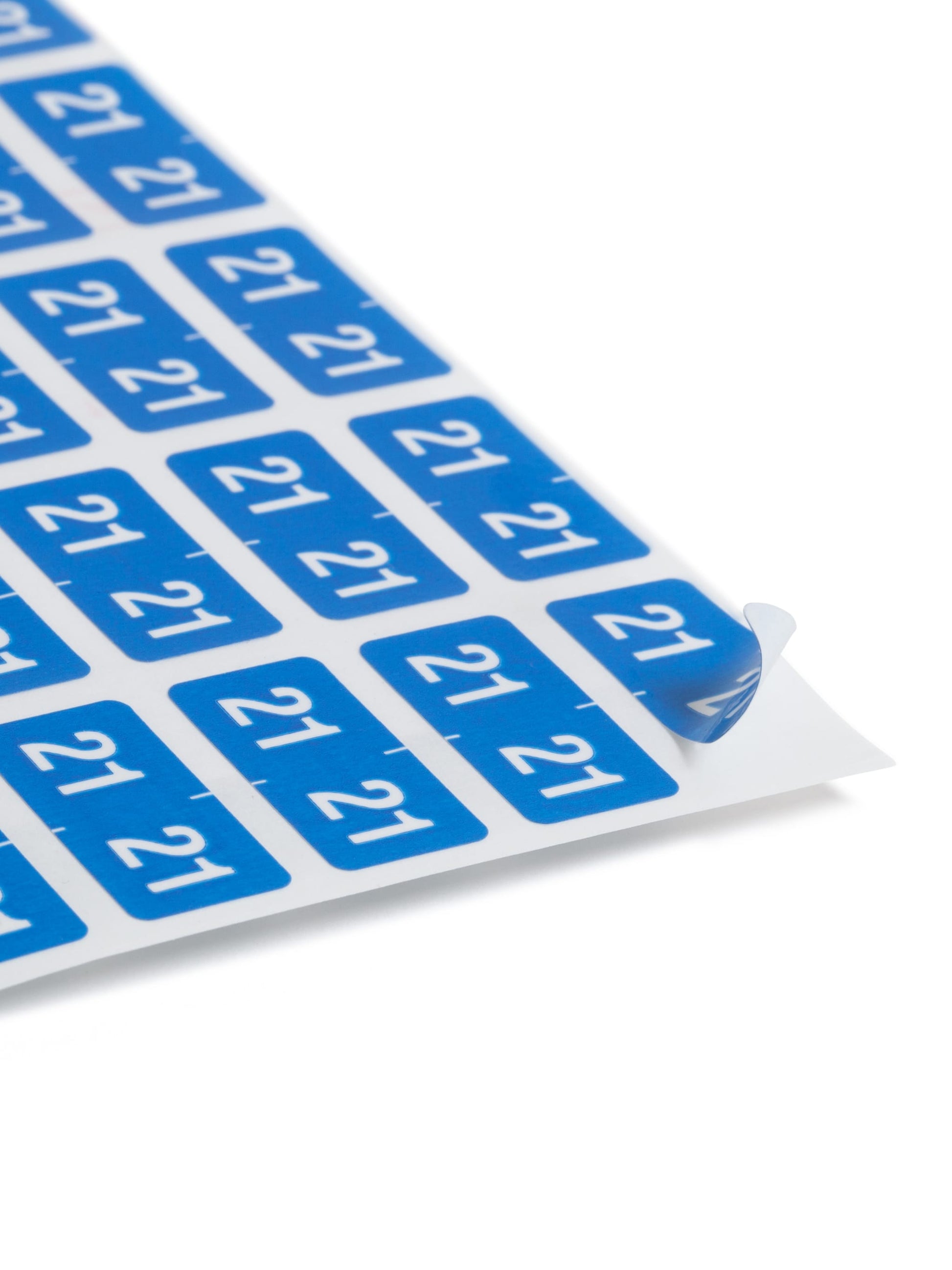 ETS Color-Coded Year Labels - Sheets, Light Blue Color, 1" X 1/2" Size, Set of 250, 086486679213