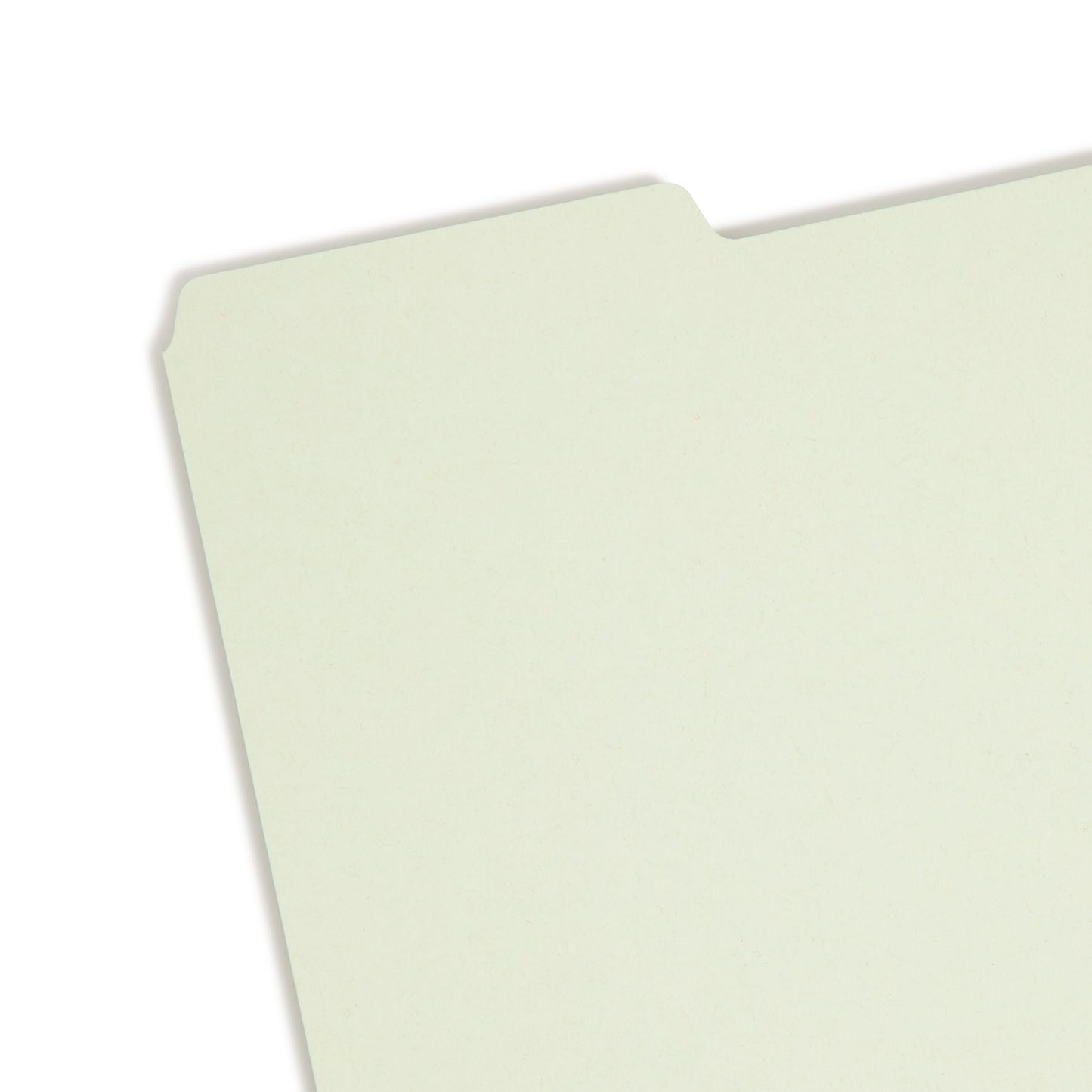 Heavyweight Filing Guides with Blank Tabs, Gray/Green Color, Letter Size, Set of 100, 086486503341