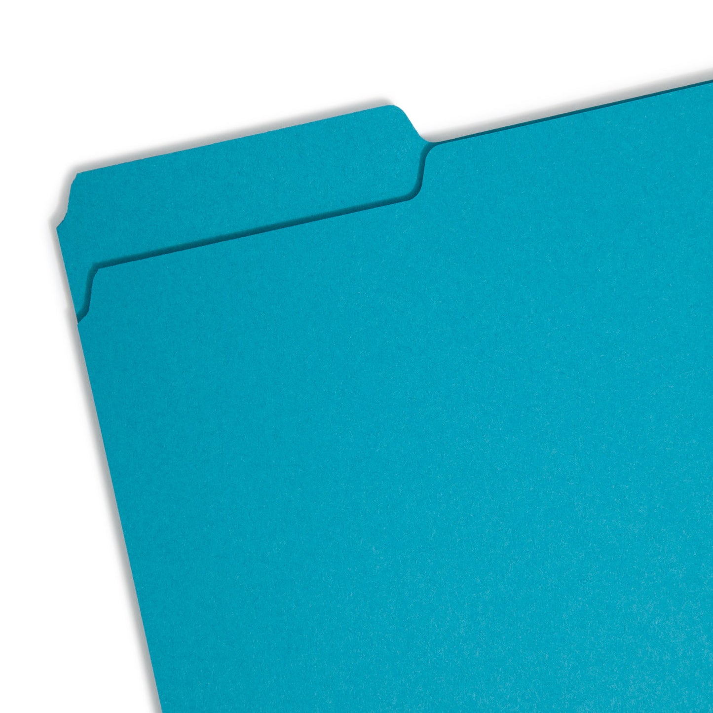 Interior File Folders, Teal Color, Letter Size, Set of 100, 086486102919