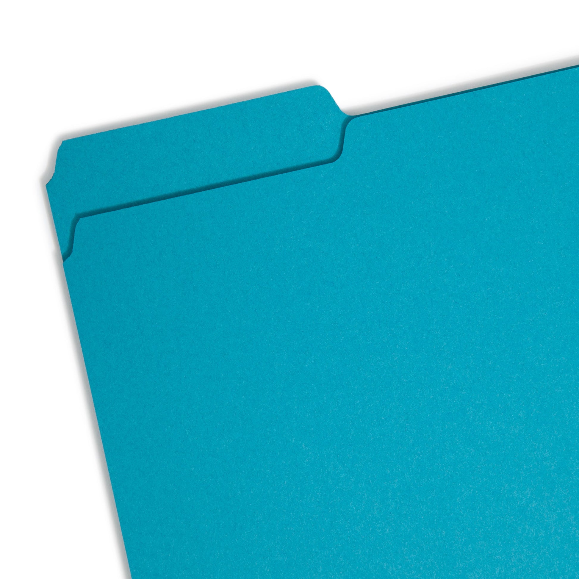 Interior File Folders, Teal Color, Letter Size, Set of 100, 086486102919