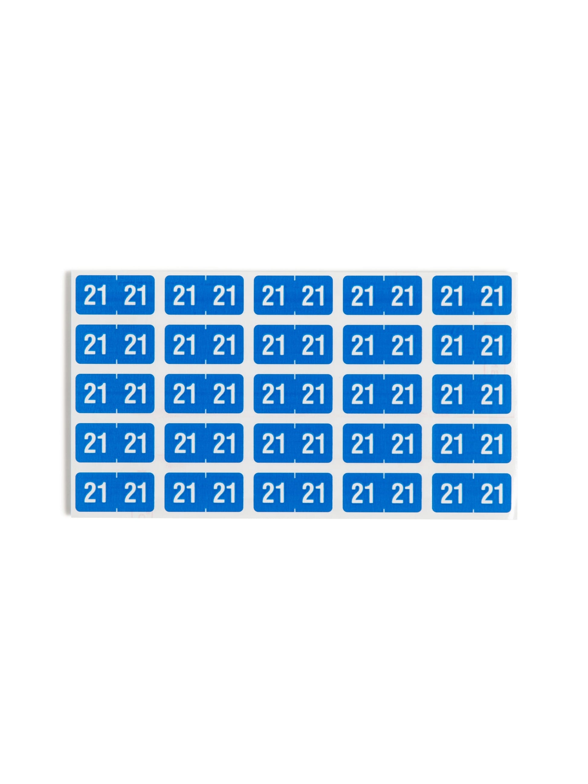 ETS Color-Coded Year Labels - Sheets, Light Blue Color, 1" X 1/2" Size, Set of 250, 086486679213