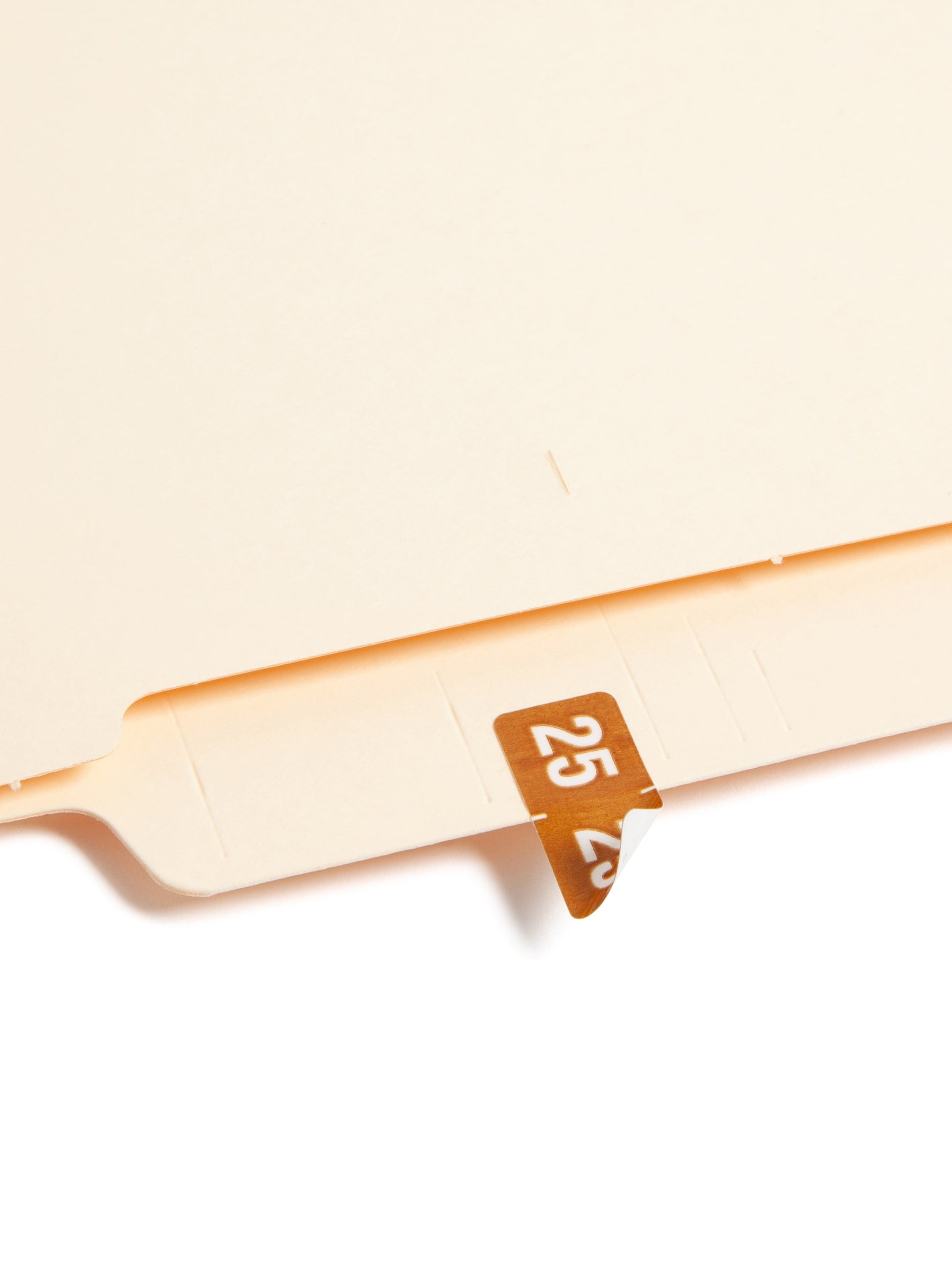ETS Color-Coded Year Labels - Sheets, Brown Color, 1" X 1/2" Size, Set of 250, 086486679251
