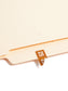 ETS Color-Coded Year Labels - Sheets, Brown Color, 1" X 1/2" Size, Set of 250, 086486679251