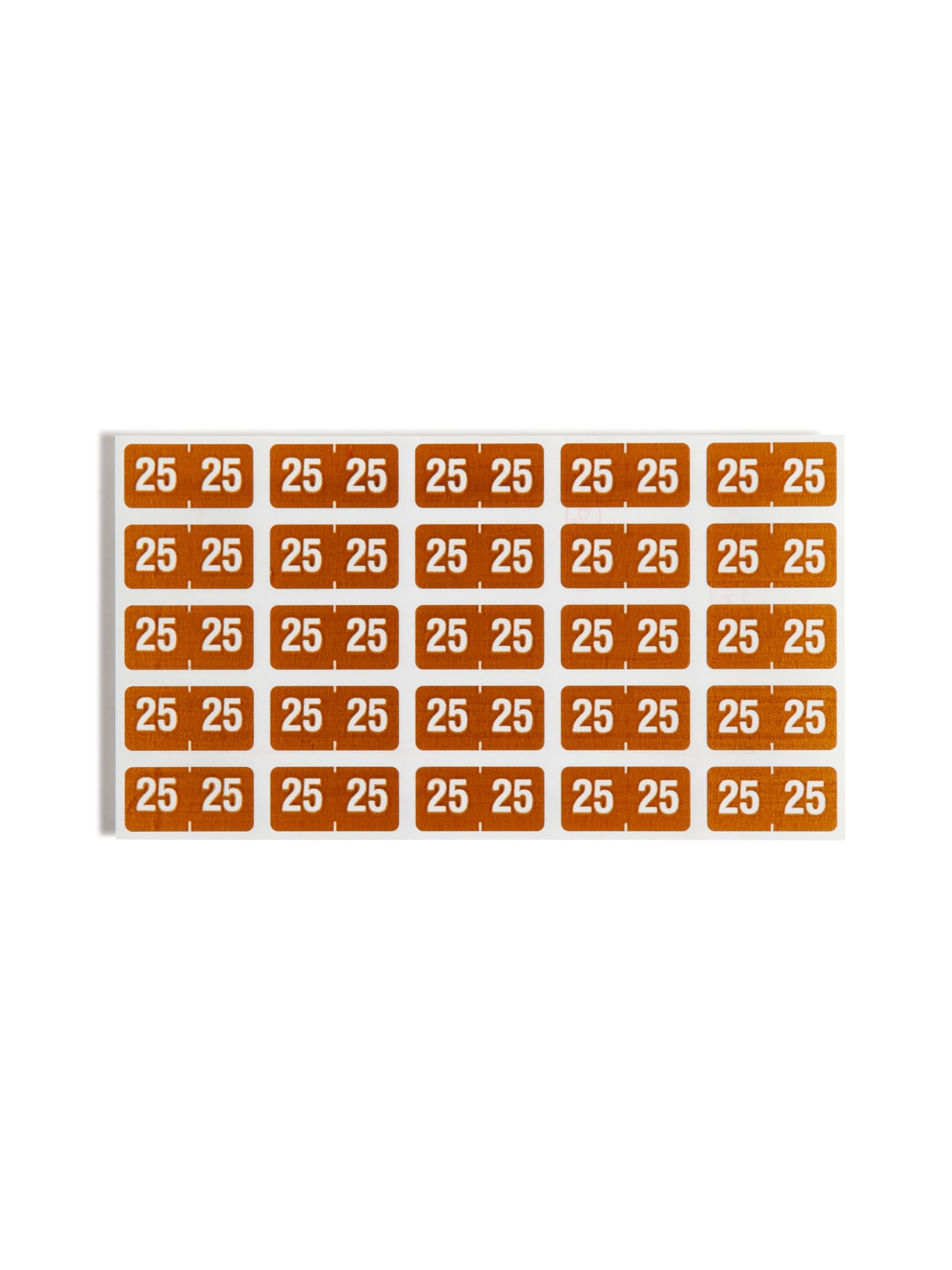 ETS Color-Coded Year Labels - Sheets, Brown Color, 1" X 1/2" Size, Set of 250, 086486679251