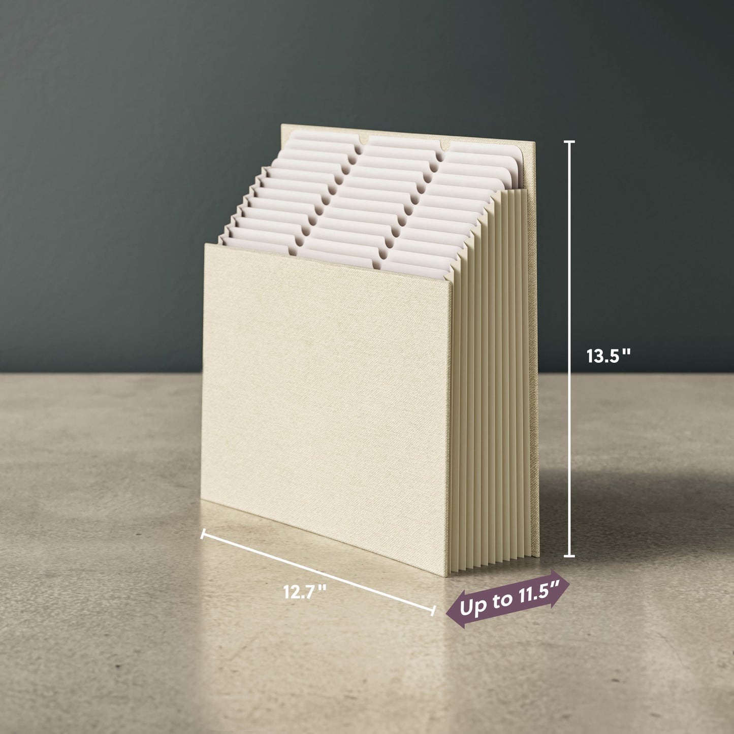Expanding Stadium® File, 12 Pockets, Beige Color, 13.6" X 12.25" X 1.88" Size, Set of 1, 086486702263