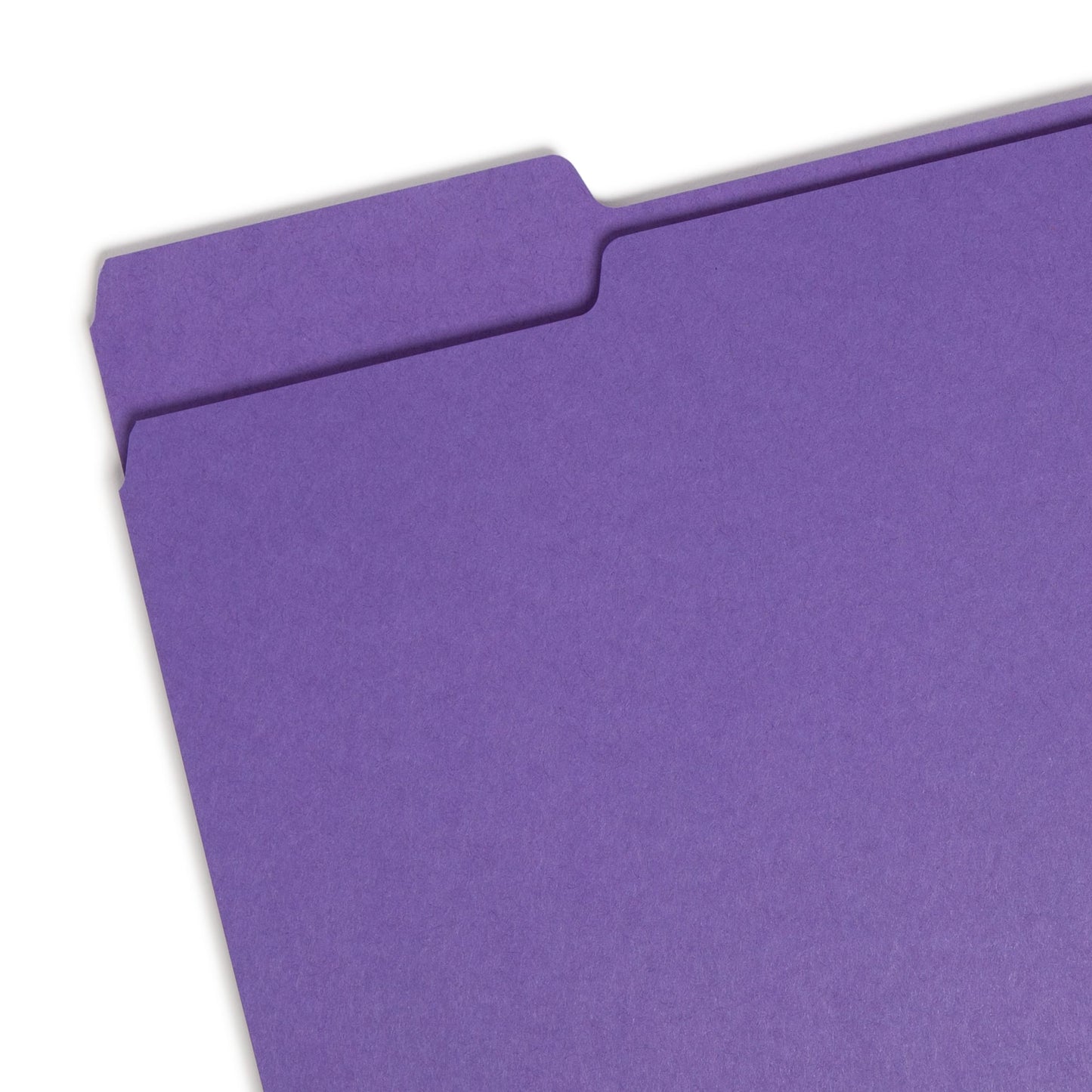 Standard File Folders, 1/3-Cut Tab, Purple Color, Letter Size, Set of 100, 086486130431