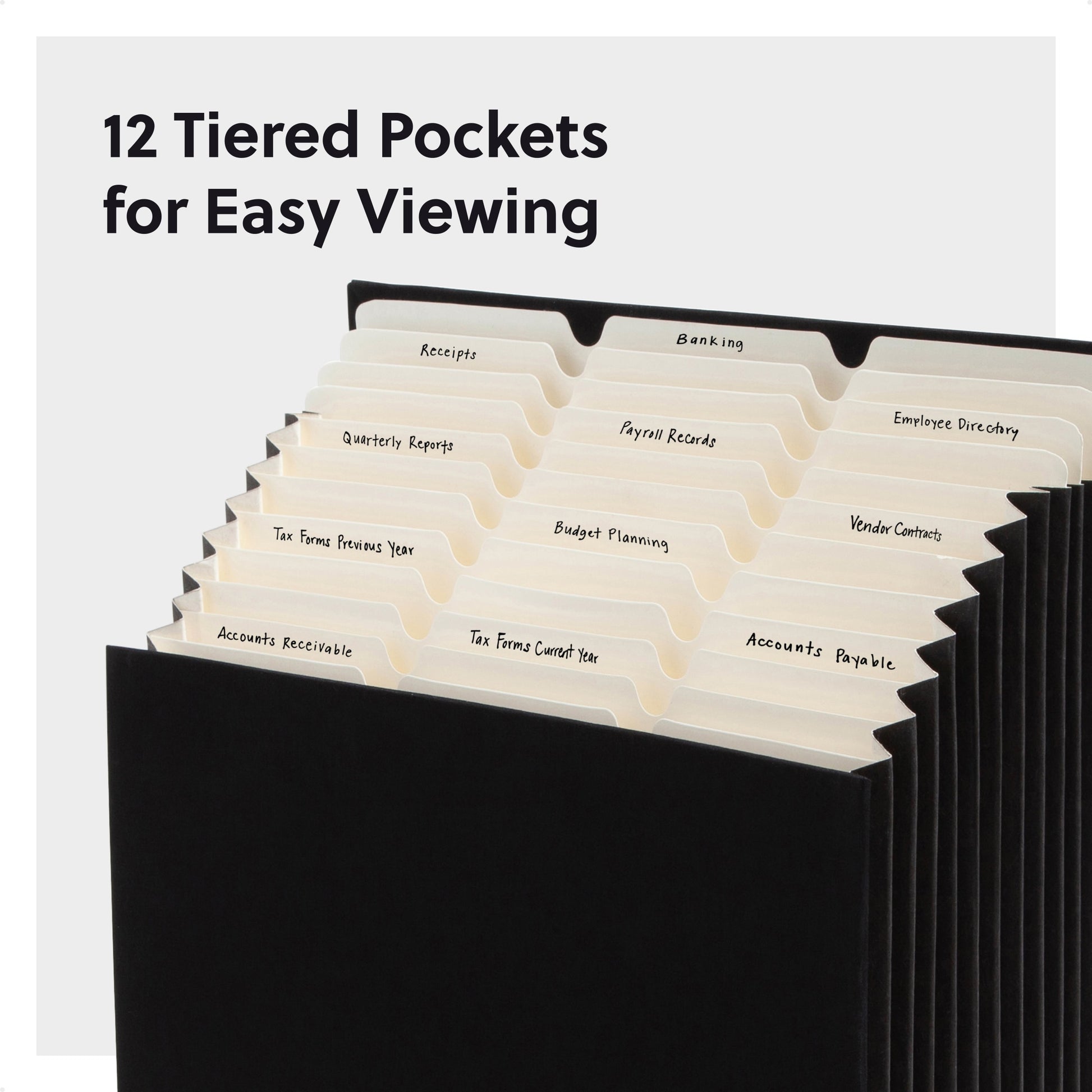 Expanding Stadium® File, 12 Pockets, Charcoal Color, 13.6" X 12.25" X 1.88" Size, Set of 1, 086486702270