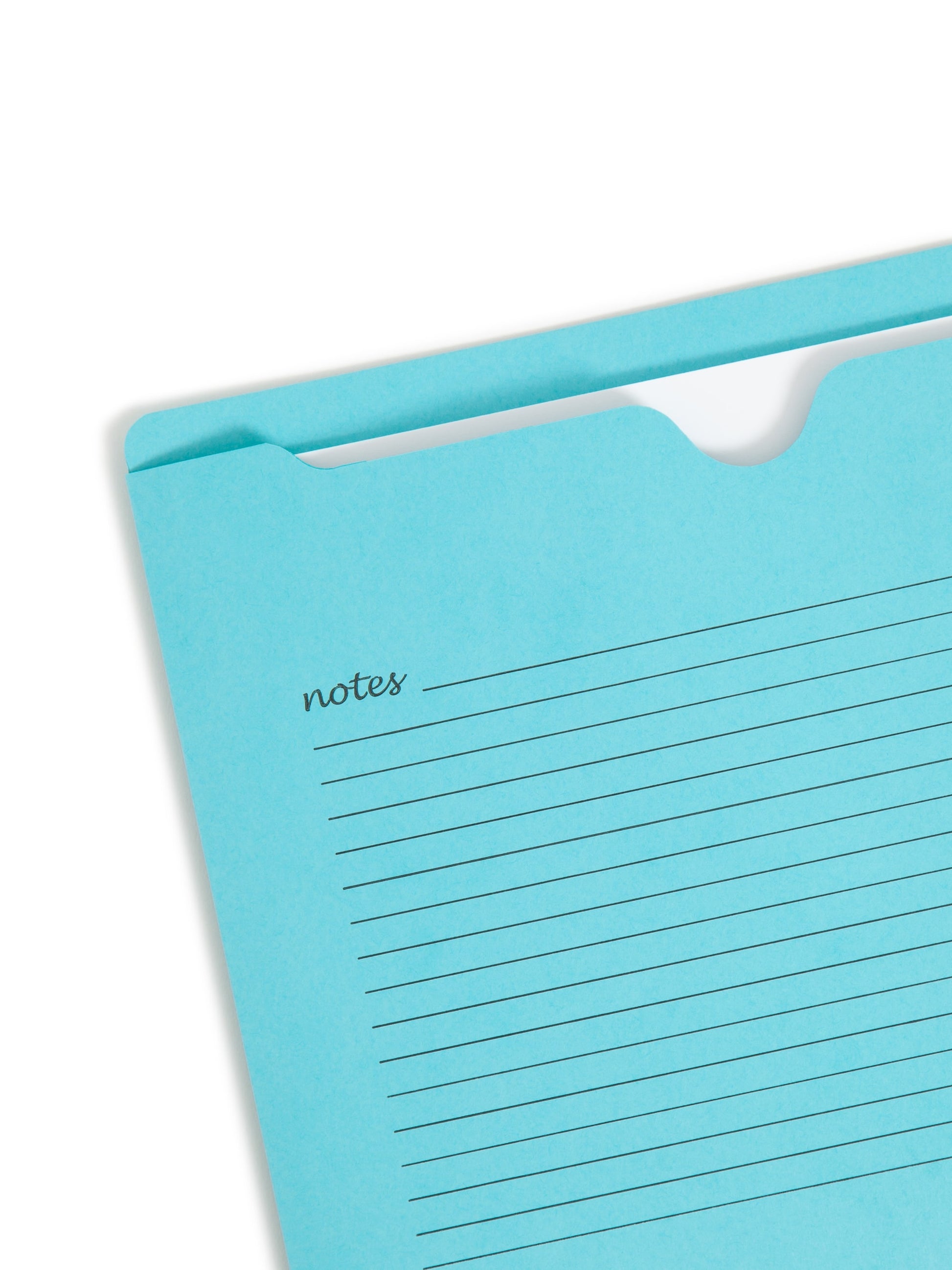 Notes File Jackets, Reinforced Straight-Cut Tab, Assorted Colors Color, Letter Size, Set of 1, 086486756167