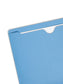 Colored File Jackets, Reinforced Straight-Cut Tab, No Expansion, Blue Color, Letter Size, Set of 100, 30086486755024