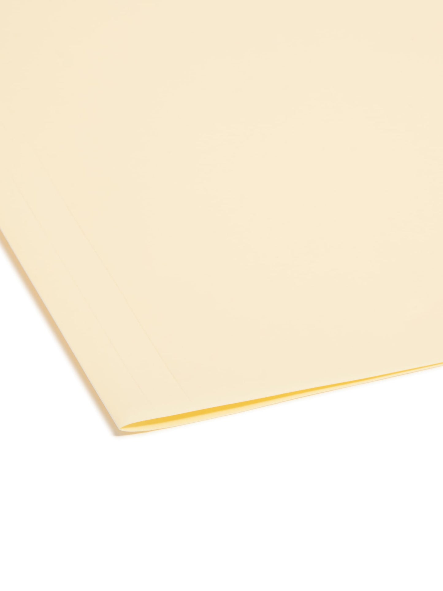 Poly Fastener File Folders, Manila Color, Letter Size, Set of 24, 086486105453