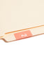 DCC Color-Coded Numeric Labels - Rolls, Pink Color, 1-1/2" X 1-1/2" Size, Set of 250, 086486674225