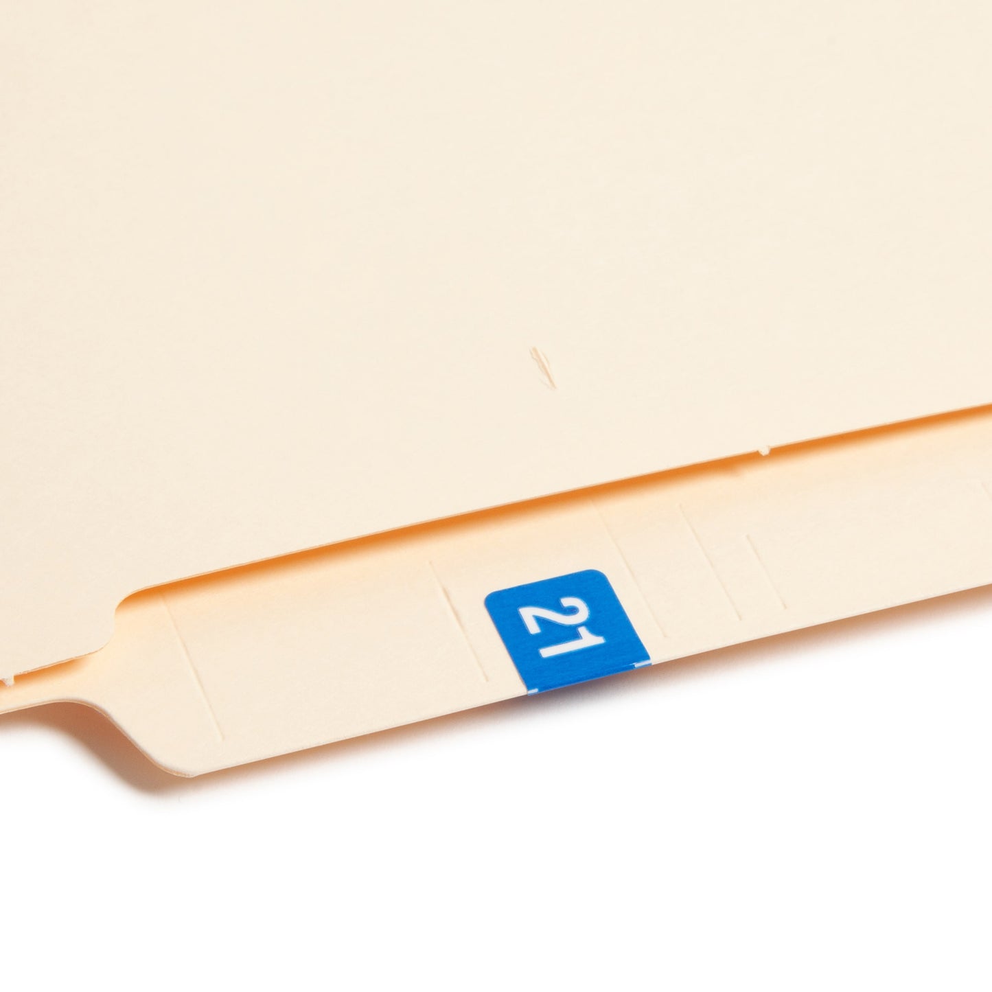 ETS Color-Coded Year Labels - Sheets, Light Blue Color, 1" X 1/2" Size, Set of 250, 086486679213