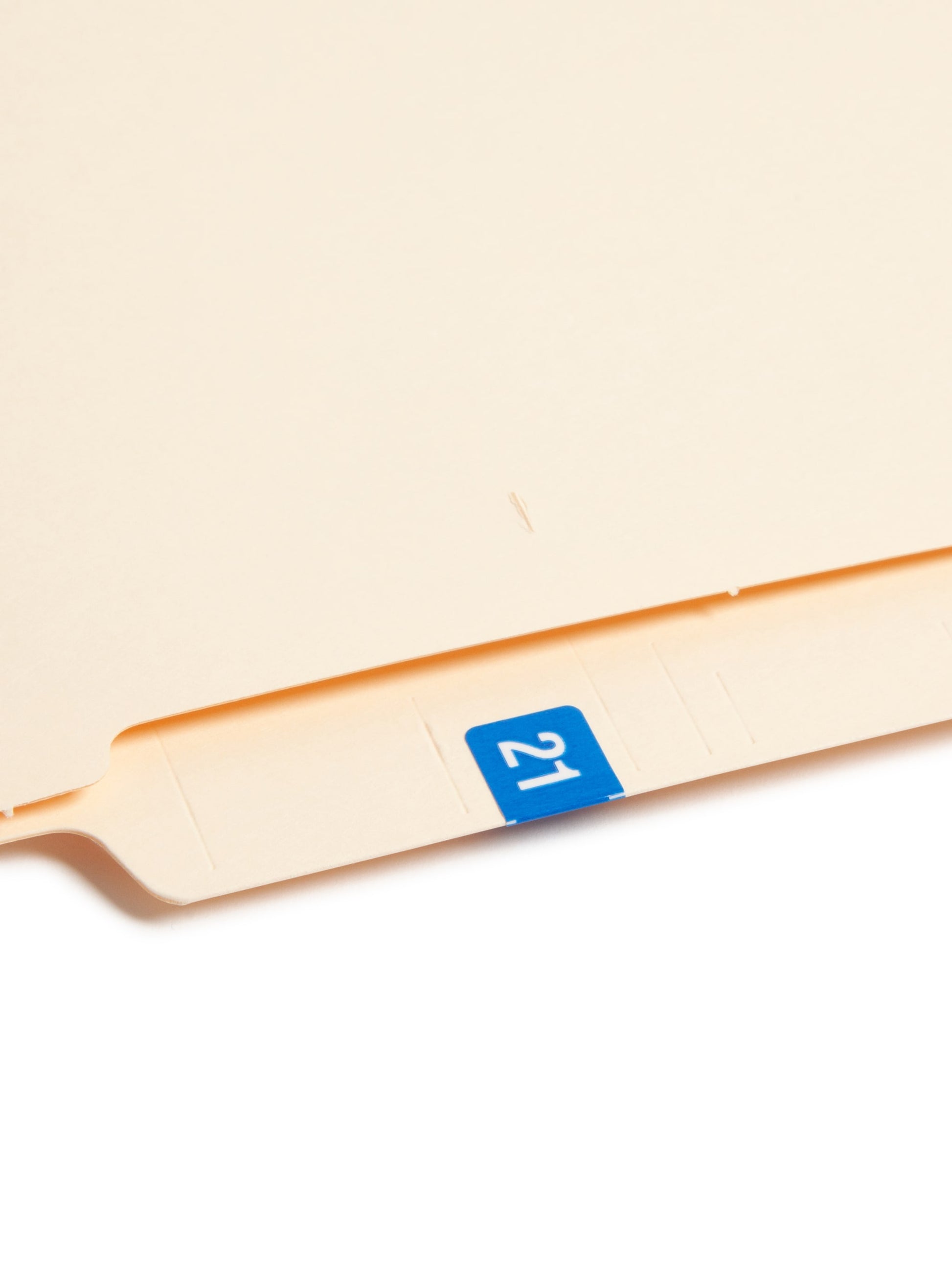 ETS Color-Coded Year Labels - Sheets, Light Blue Color, 1" X 1/2" Size, Set of 250, 086486679213