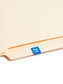 ETS Color-Coded Year Labels - Sheets, Light Blue Color, 1" X 1/2" Size, Set of 250, 086486679213