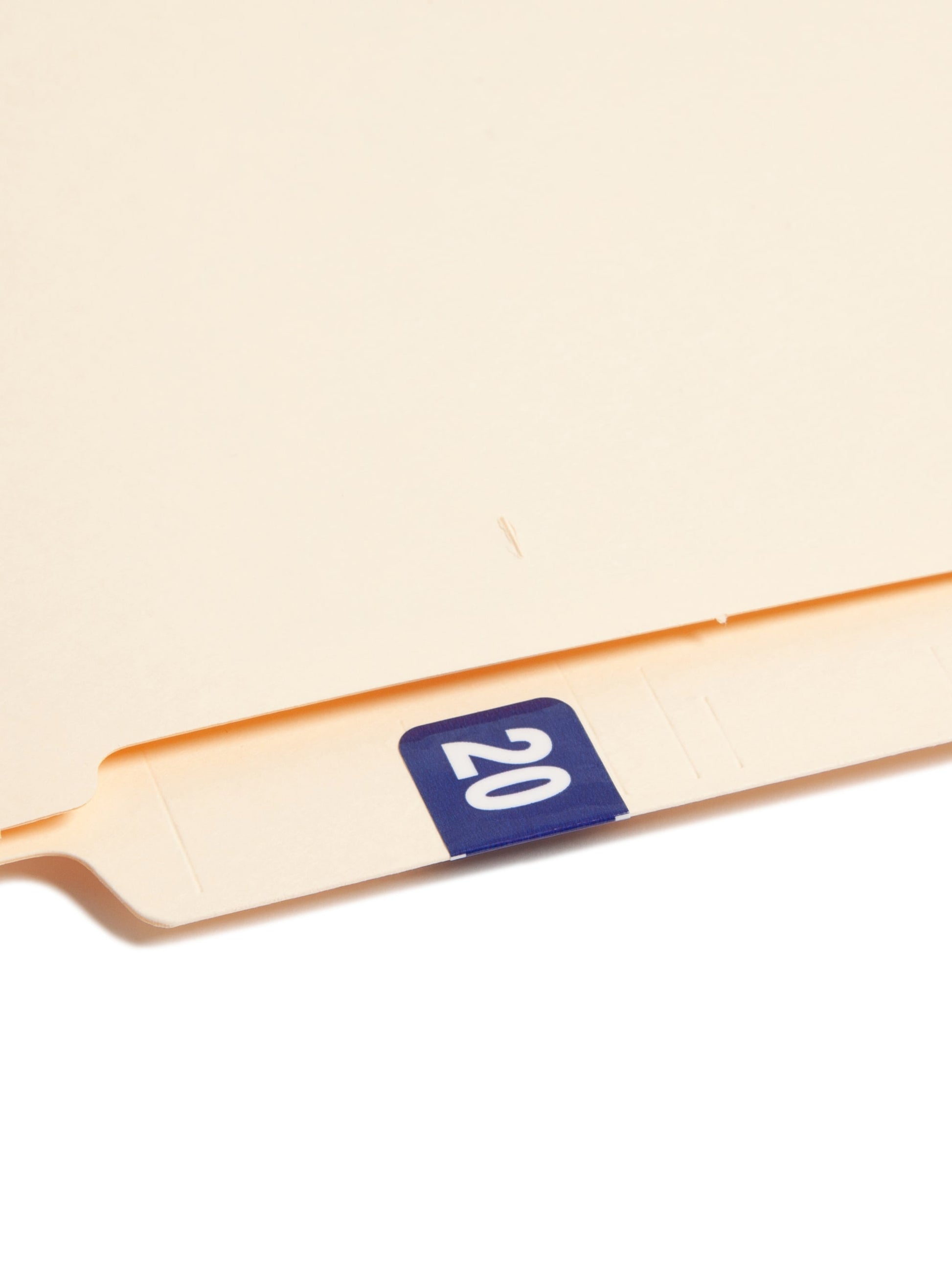 ETYJ Color-Coded Year Labels, Blue Color, 1-1/2" X 3/4" Size, Set of 50, 086486683203
