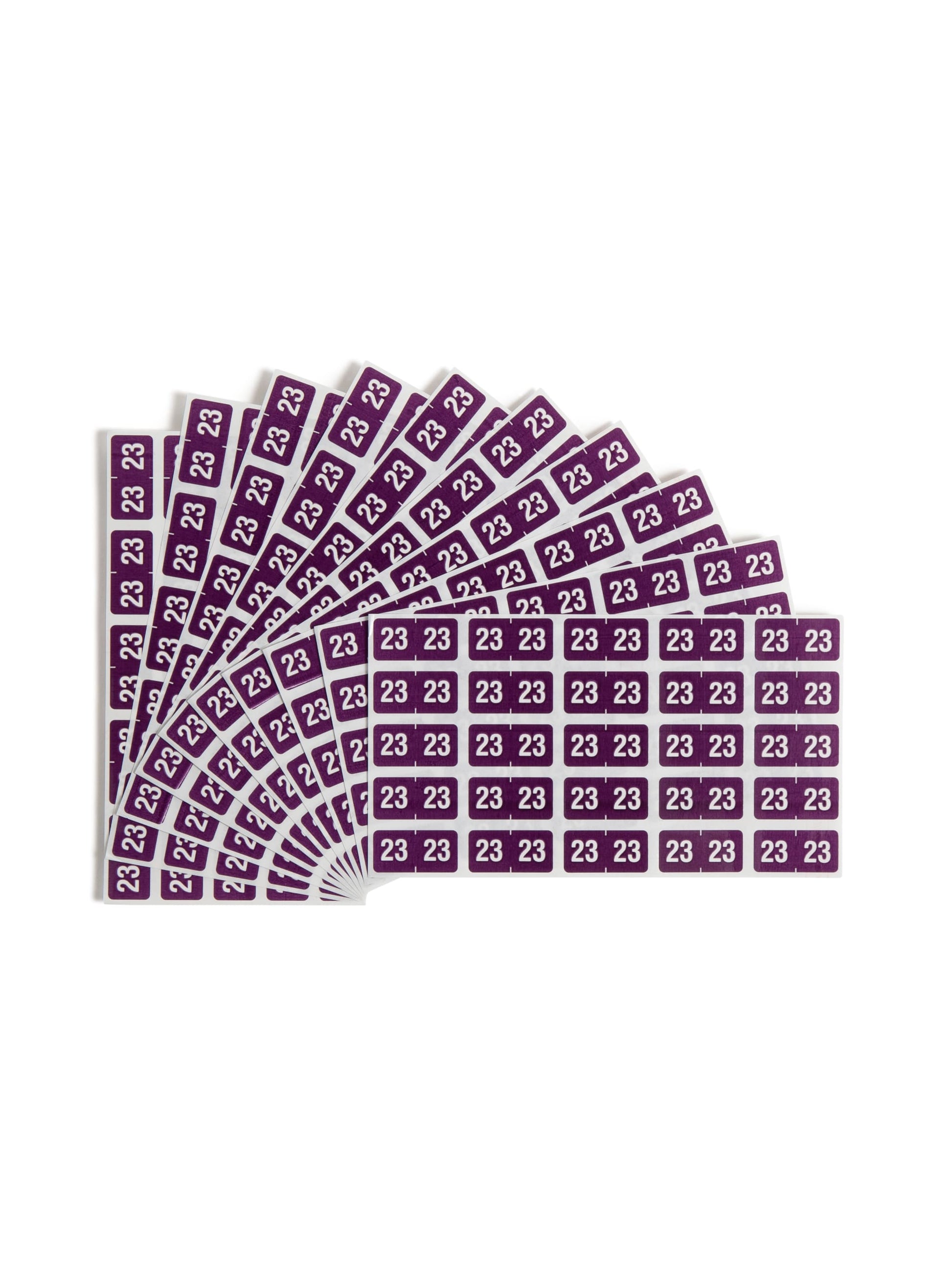 ETS Color-Coded Year Labels - Sheets, Purple Color, 1" X 1/2" Size, Set of 1, 086486679237