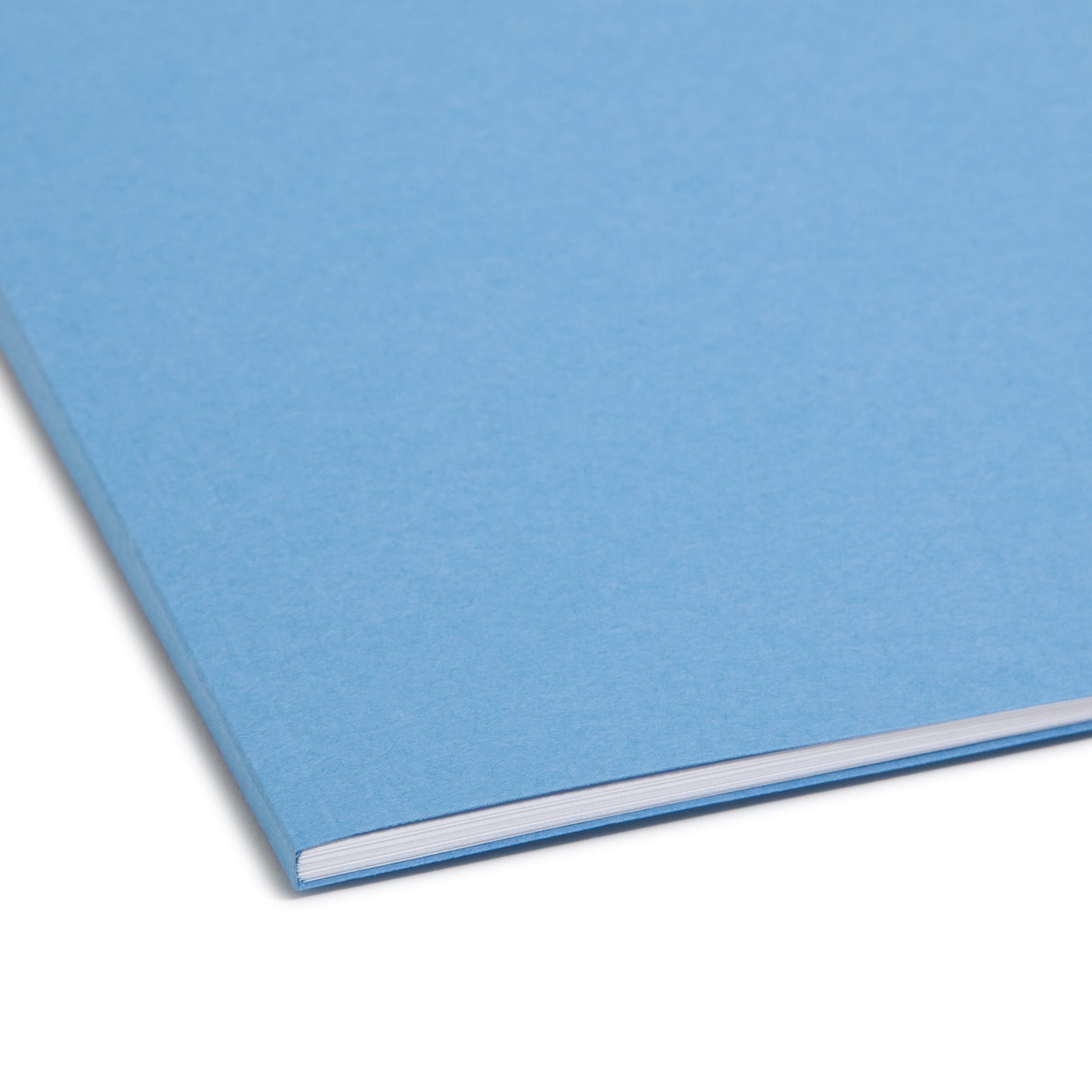 Reinforced Tab Fastener File Folders, 1/3-Cut Tab, 2 Fasteners, Blue Color, Letter Size, Set of 50, 086486120401