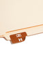 AlphaZ® ACCS Color Coded Alphabetic Labels - Sheets, Dark Brown Color, 1" X 1-5/8" Size, Set of 100, 086486671781