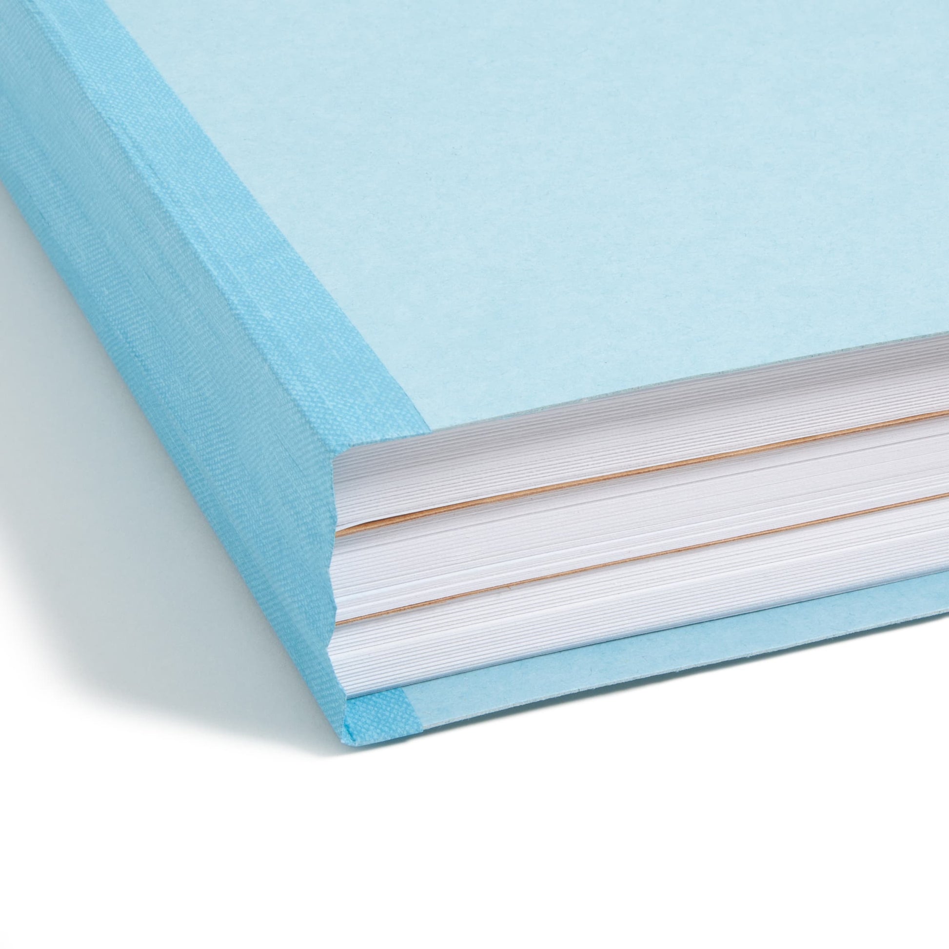 FasTab®/SafeSHIELD® Hanging Classification File Folders, 2 Dividers, Blue Color, Legal Size, Set of 10, 30086486651654