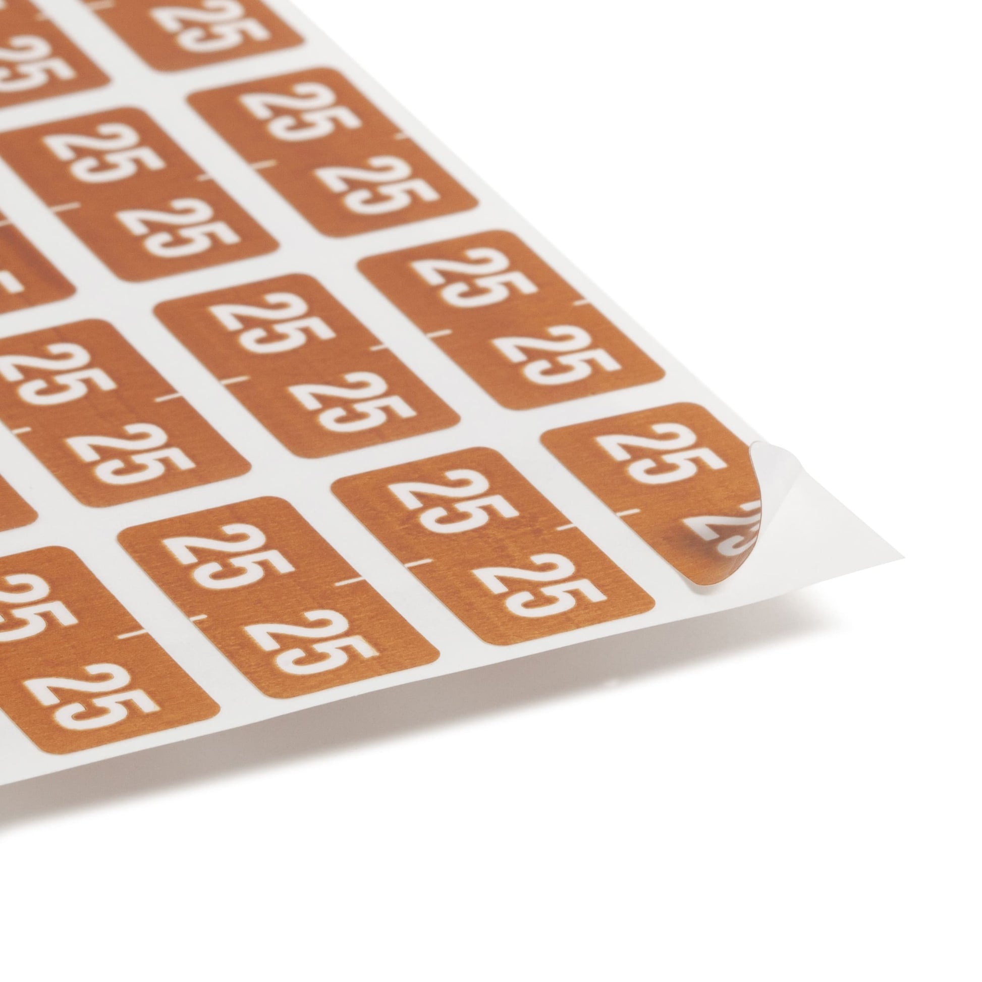 ETS Color-Coded Year Labels - Sheets, Brown Color, 1" X 1/2" Size, Set of 250, 086486679251