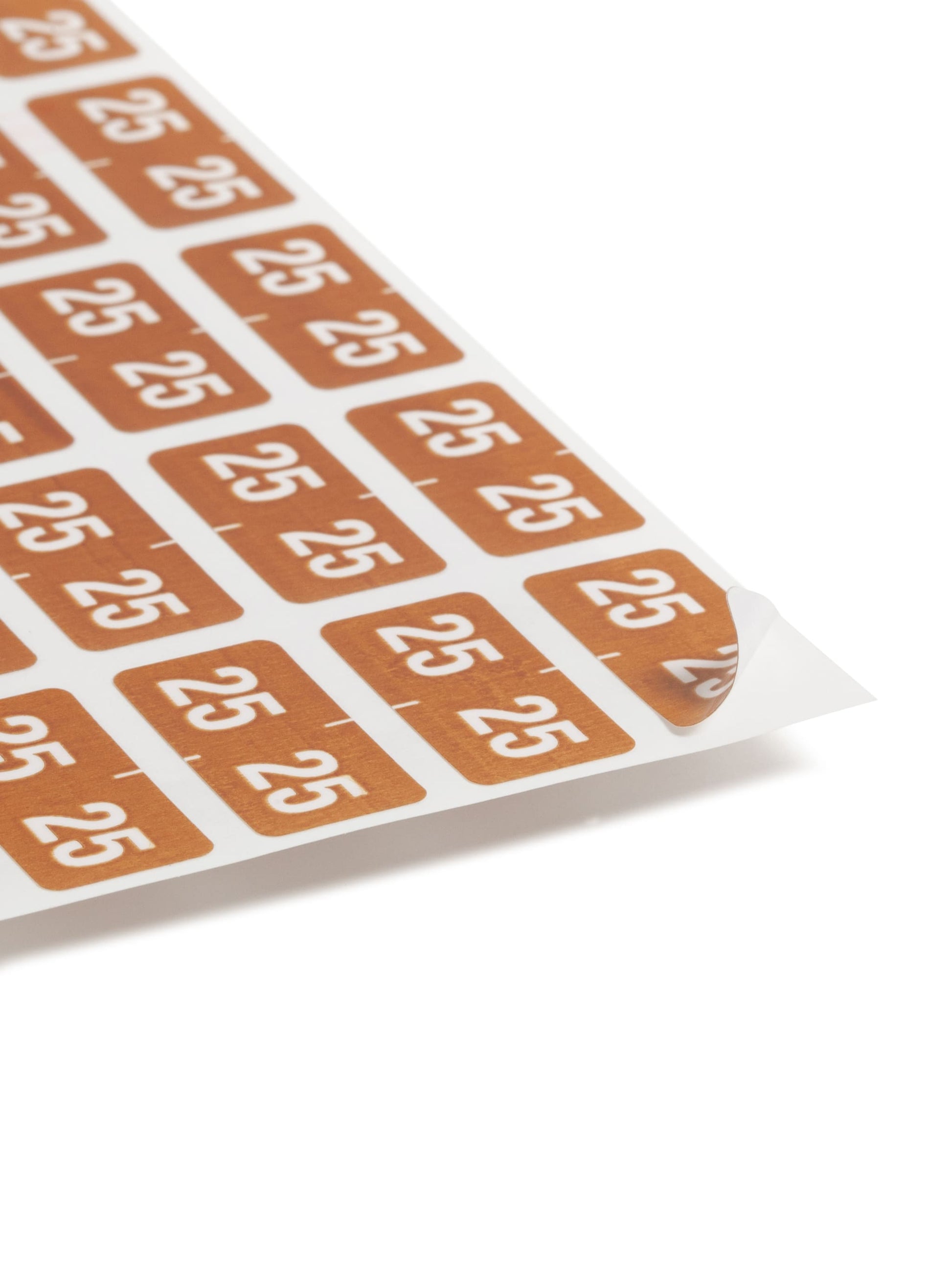 ETS Color-Coded Year Labels - Sheets, Brown Color, 1" X 1/2" Size, Set of 250, 086486679251