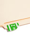 AlphaZ® ACCS Color Coded Alphabetic Labels - Sheets, Light Green Color, 1" X 1-5/8" Size, Set of 100, 086486671965