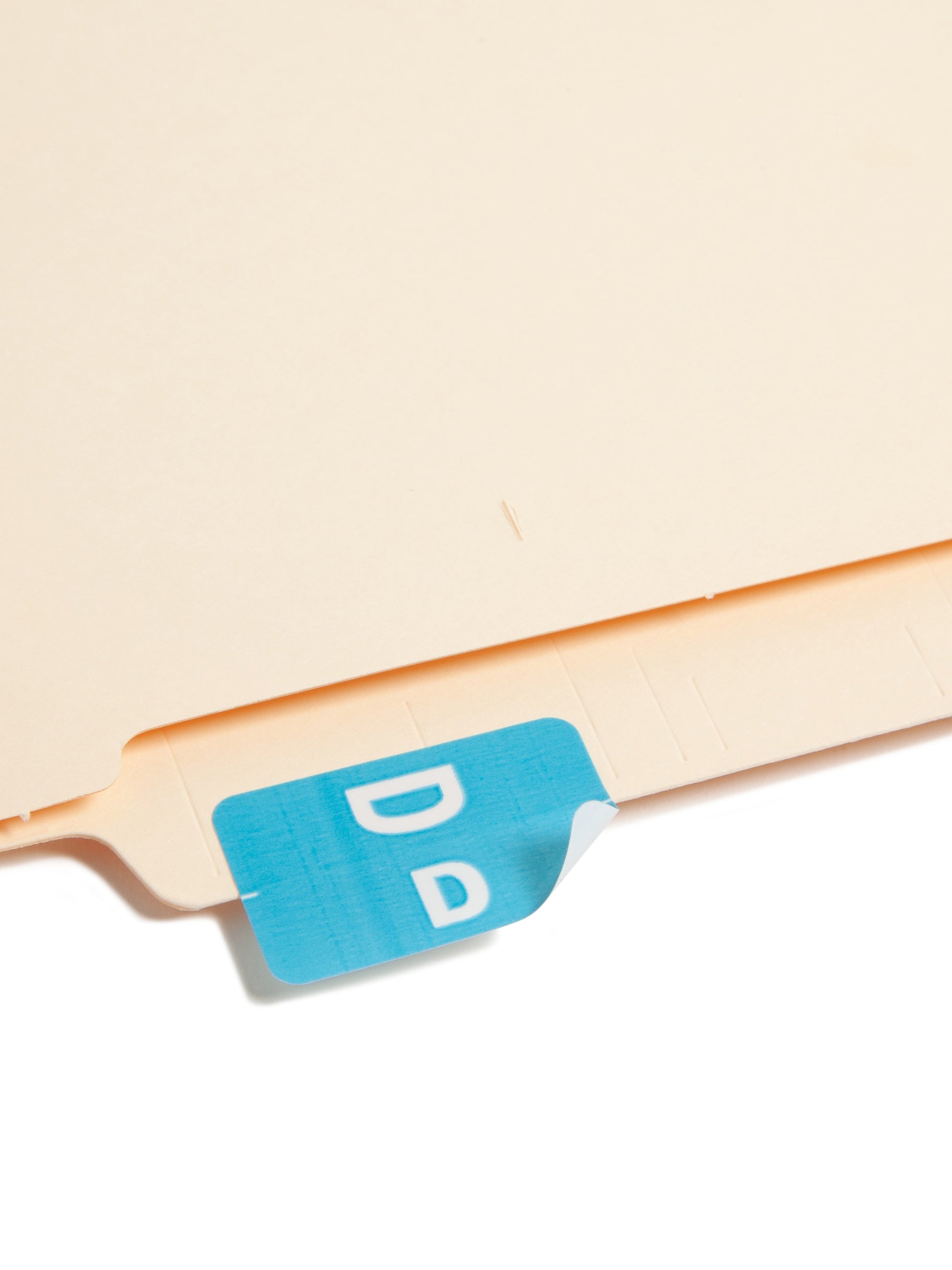 AlphaZ® ACCS Color Coded Alphabetic Labels - Sheets, Light Blue Color, 1" X 1-5/8" Size, Set of 100, 086486671743