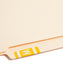 AlphaZ® ACCS Color Coded Alphabetic Labels - Sheets, Yellow Color, 1" X 1-5/8" Size, Set of 100, 086486671934