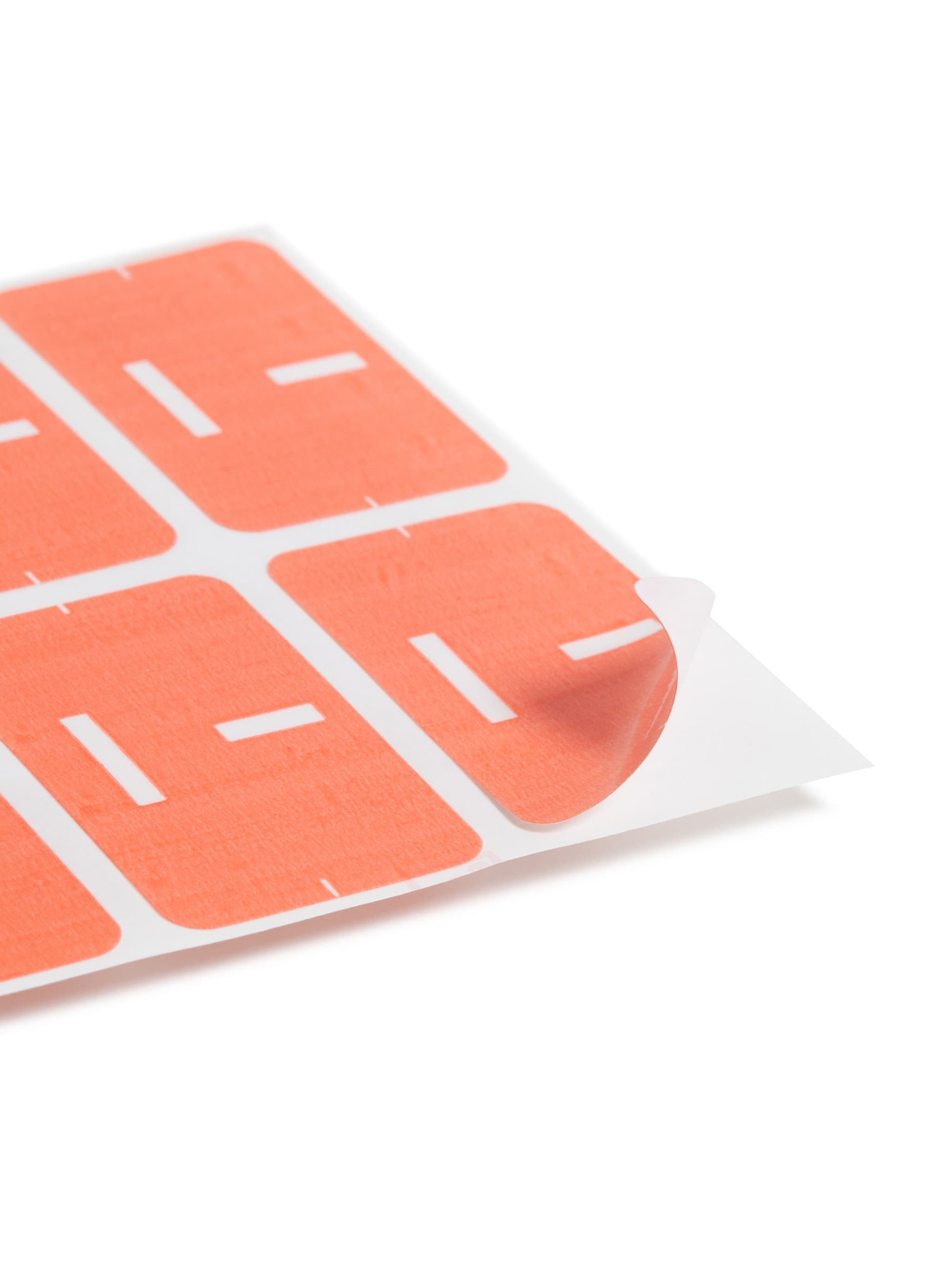 AlphaZ® ACCS Color Coded Alphabetic Labels - Sheets, Pink Color, 1" X 1-5/8" Size, Set of 100, 086486671798