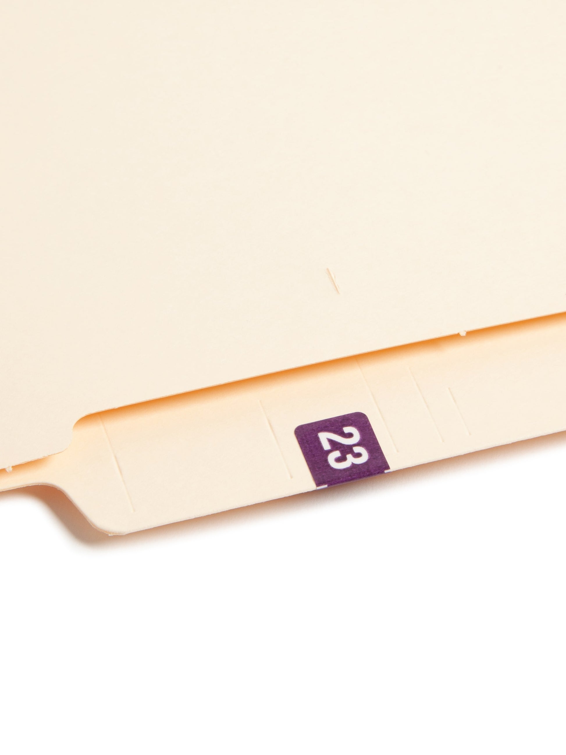 ETS Color-Coded Year Labels - Sheets, Purple Color, 1" X 1/2" Size, 