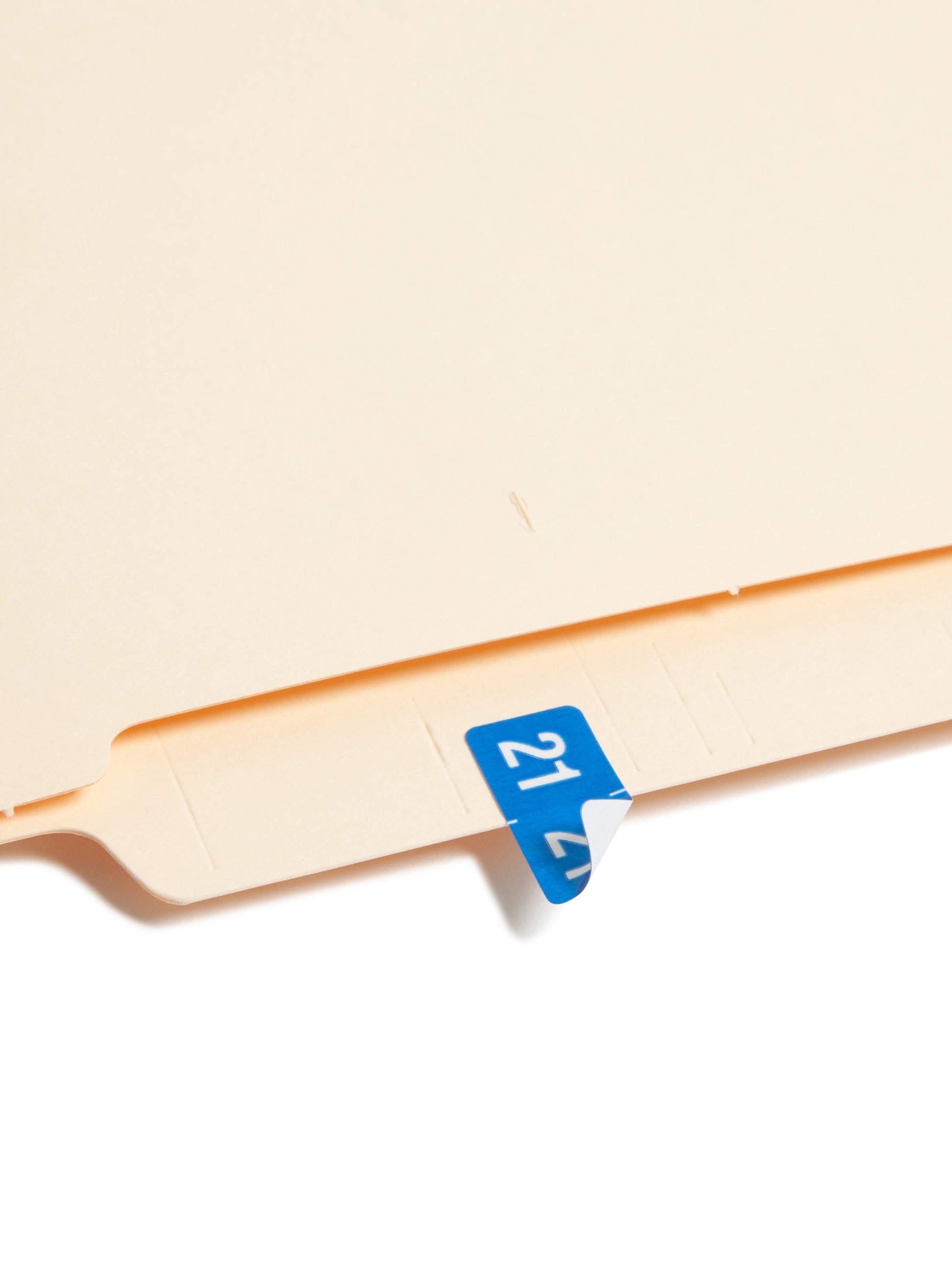 ETS Color-Coded Year Labels - Sheets, Light Blue Color, 1" X 1/2" Size, Set of 250, 086486679213
