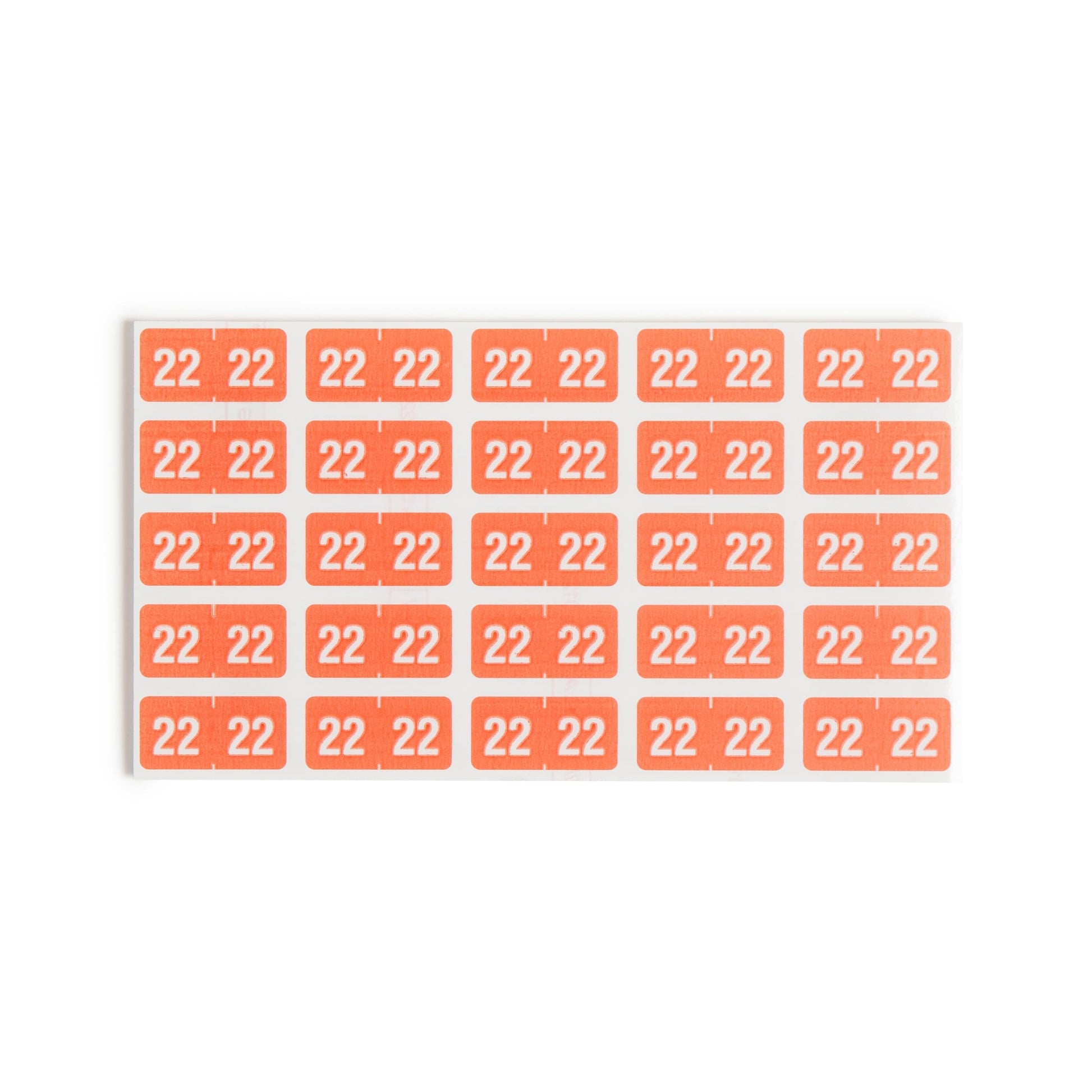 ETS Color-Coded Year Labels - Sheets, Pink Color, 1" X 1/2" Size, Set of 250, 086486679220