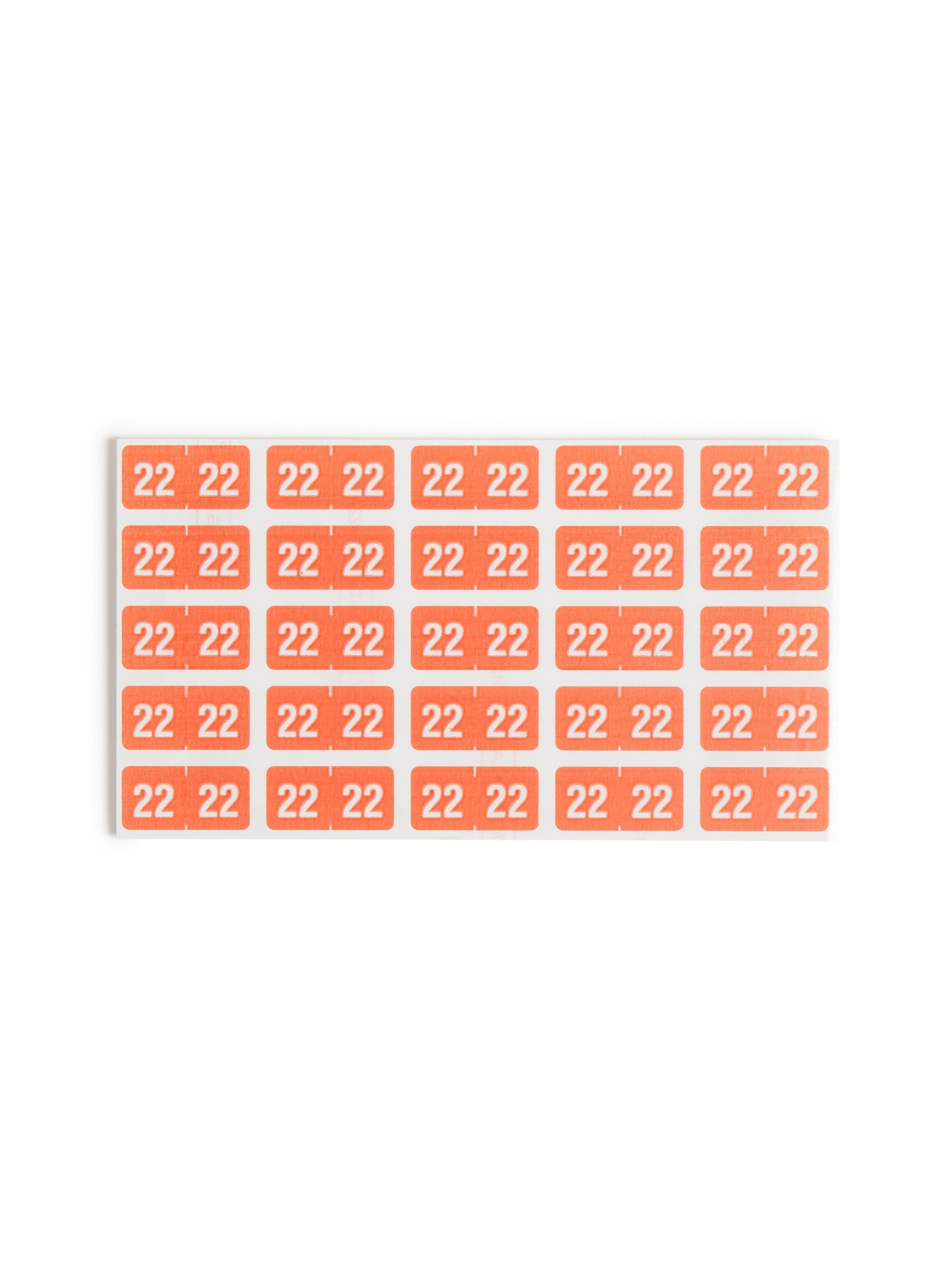 ETS Color-Coded Year Labels - Sheets, Pink Color, 1" X 1/2" Size, Set of 250, 086486679220