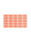 ETS Color-Coded Year Labels - Sheets, Pink Color, 1" X 1/2" Size, Set of 250, 086486679220