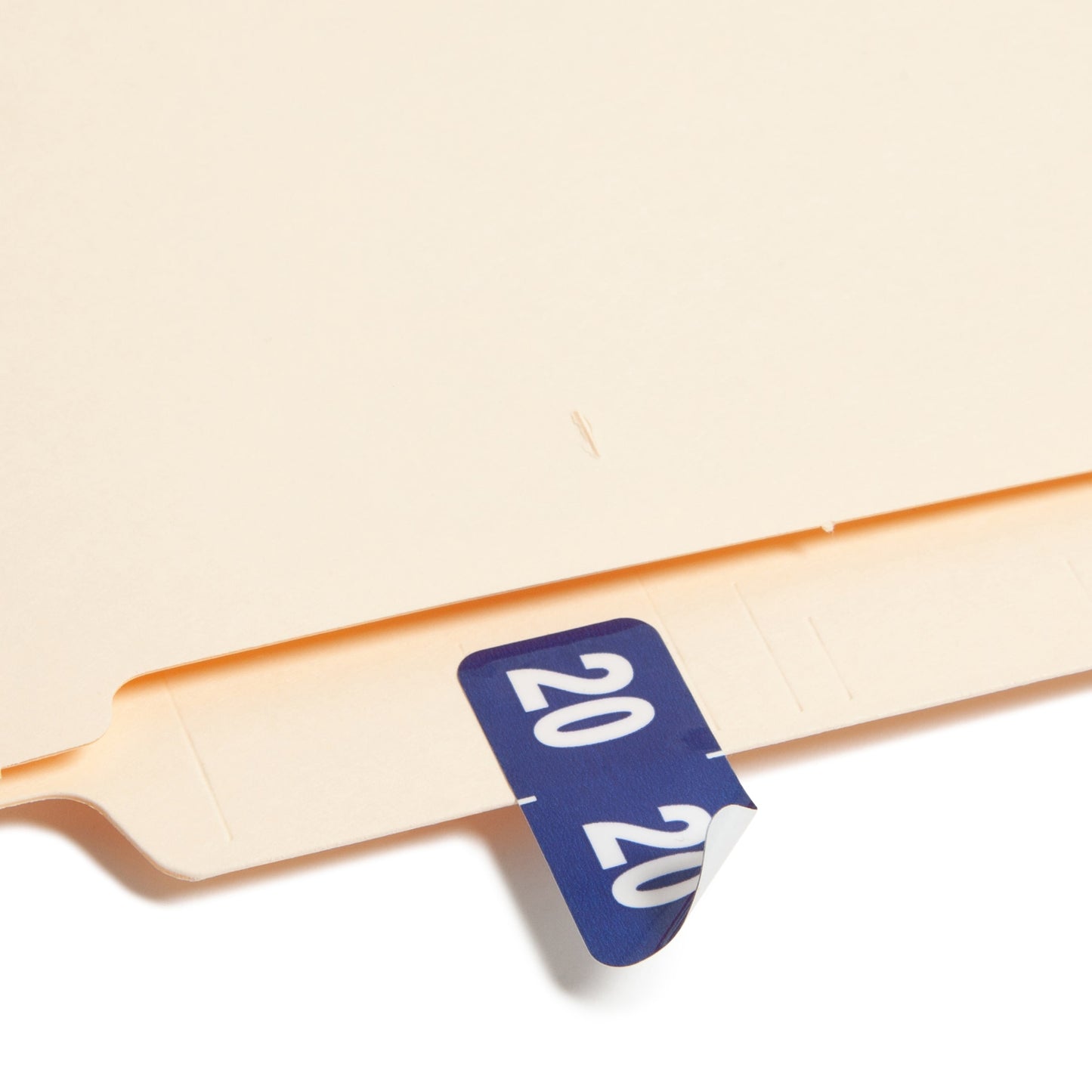 ETYJ Color-Coded Year Labels, Blue Color, 1-1/2" X 3/4" Size, Set of 50, 086486683203