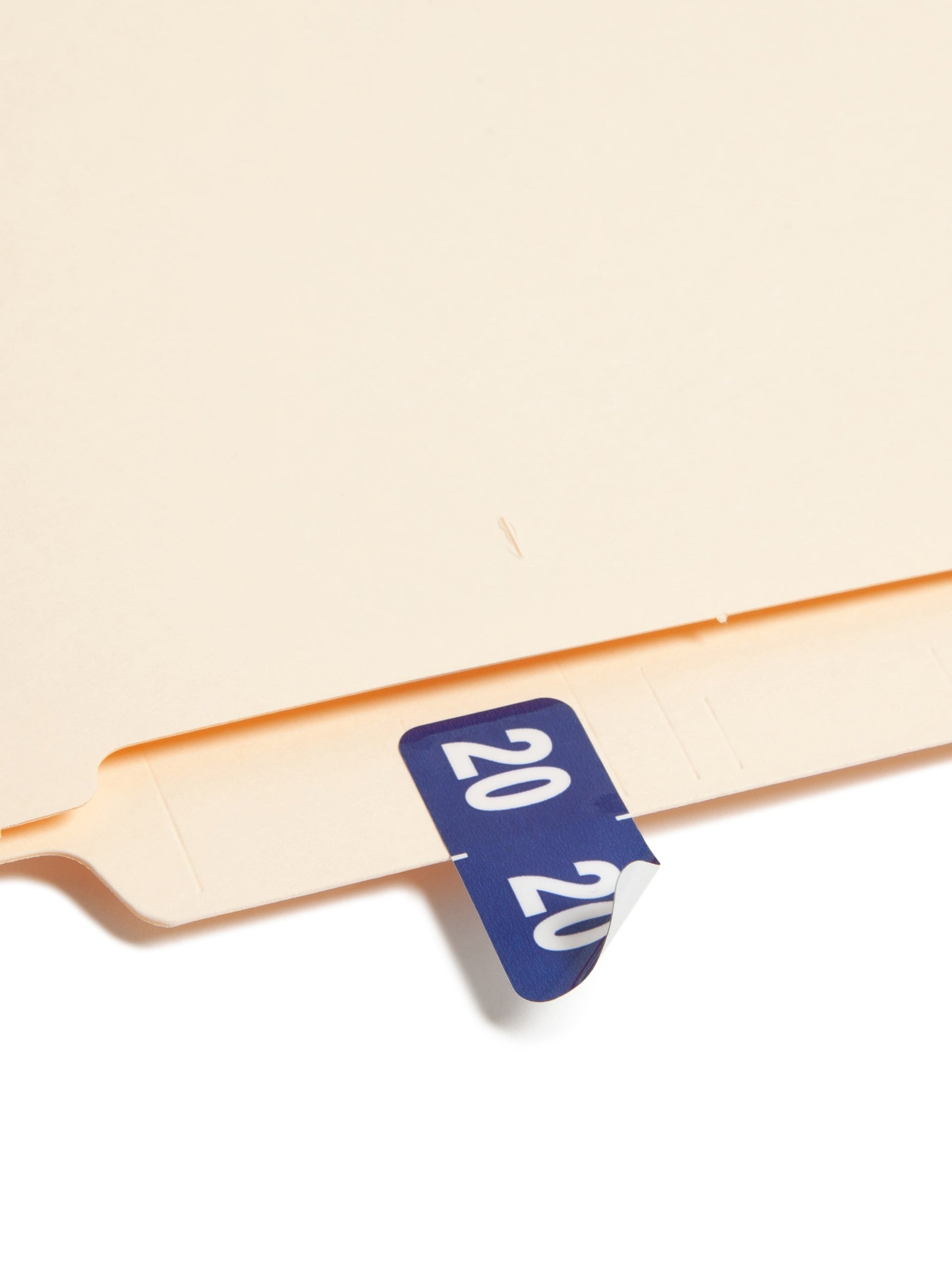 ETYJ Color-Coded Year Labels, Blue Color, 1-1/2" X 3/4" Size, Set of 50, 086486683203