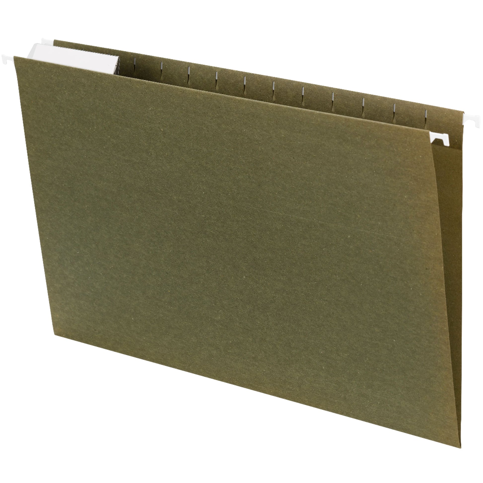 Standard Hanging File Folders, 1/3-Cut Adjustable Tab, Standard Green Color, Legal Size, Set of 25, 086486641395