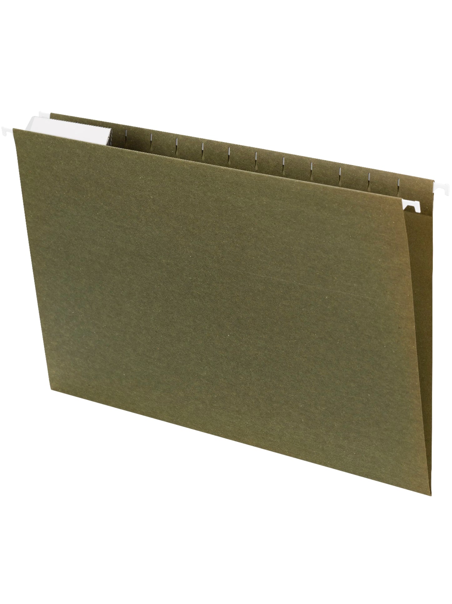 Standard Hanging File Folders, 1/3-Cut Adjustable Tab, Standard Green Color, Legal Size, Set of 25, 086486641395